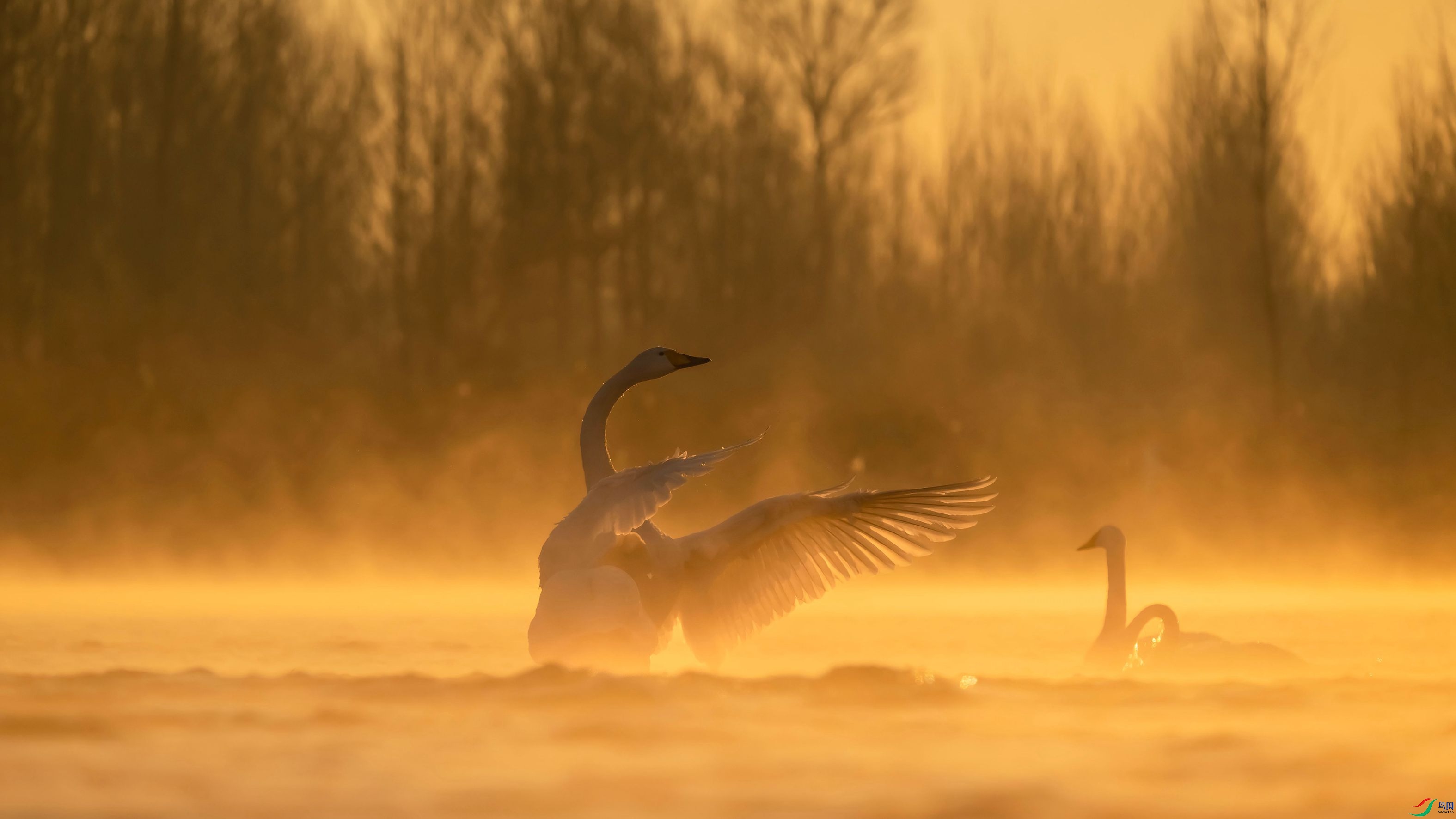 չ�� Ǯ���� 2025.1.16 �ϰ˼��� 18624063734_����.jpg