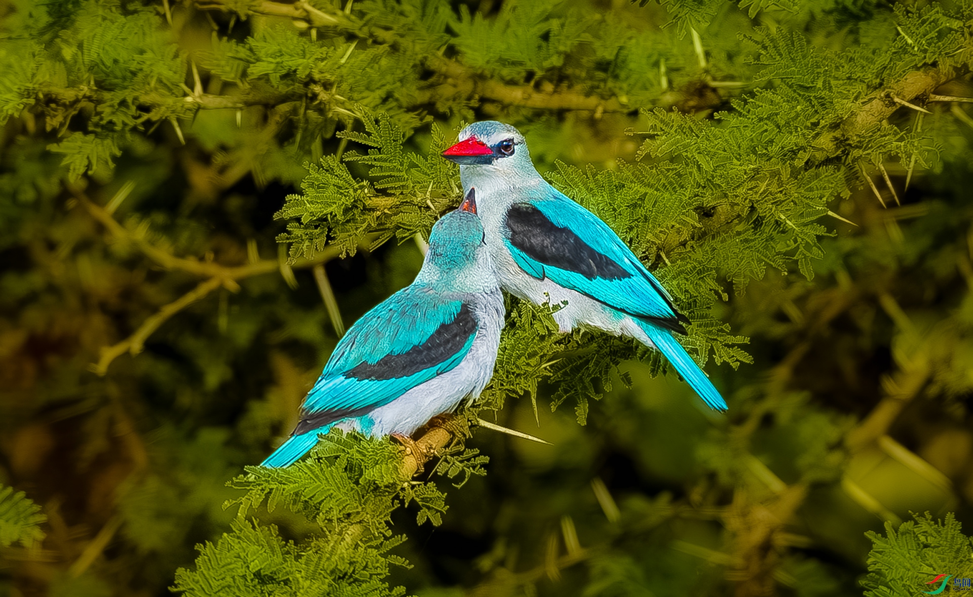 _YH_6775-����ǿ-NR-11.jpg