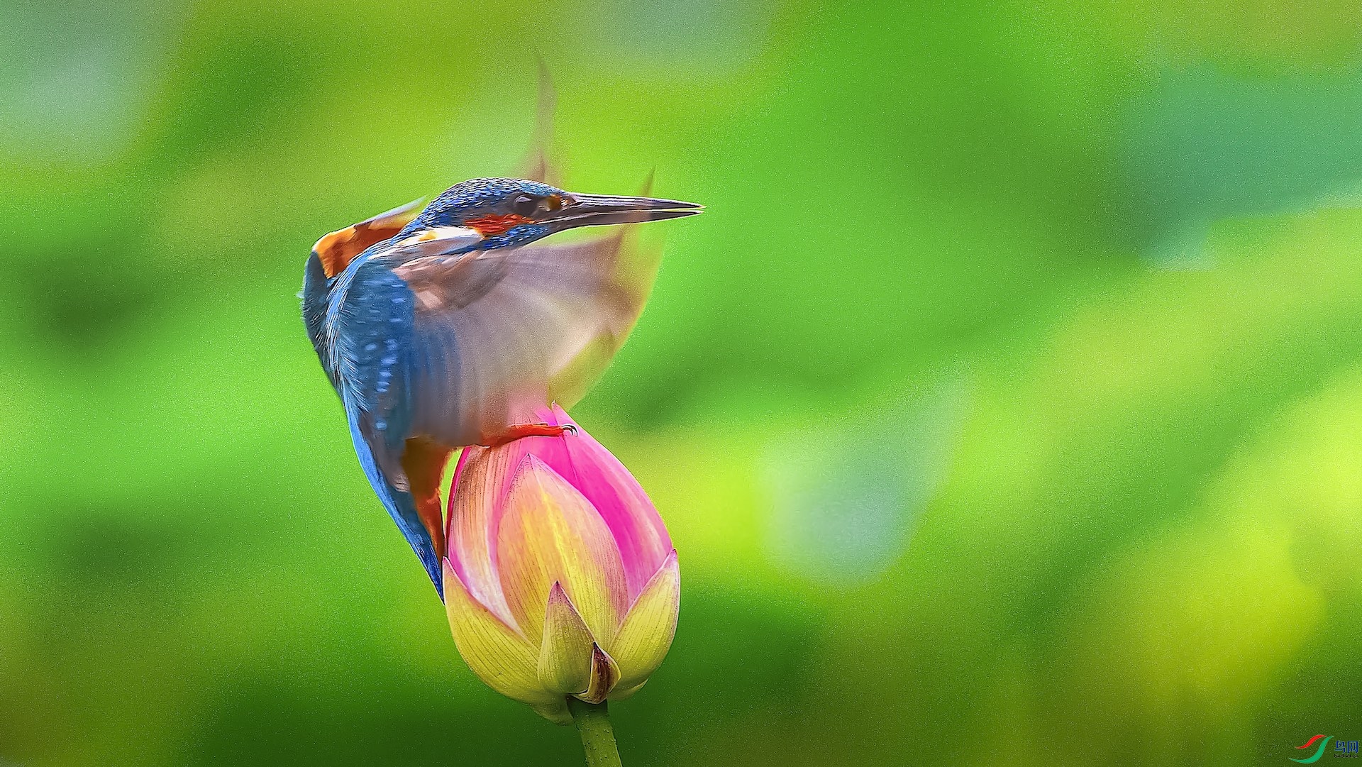 1_XXI3370-1 ����.jpeg