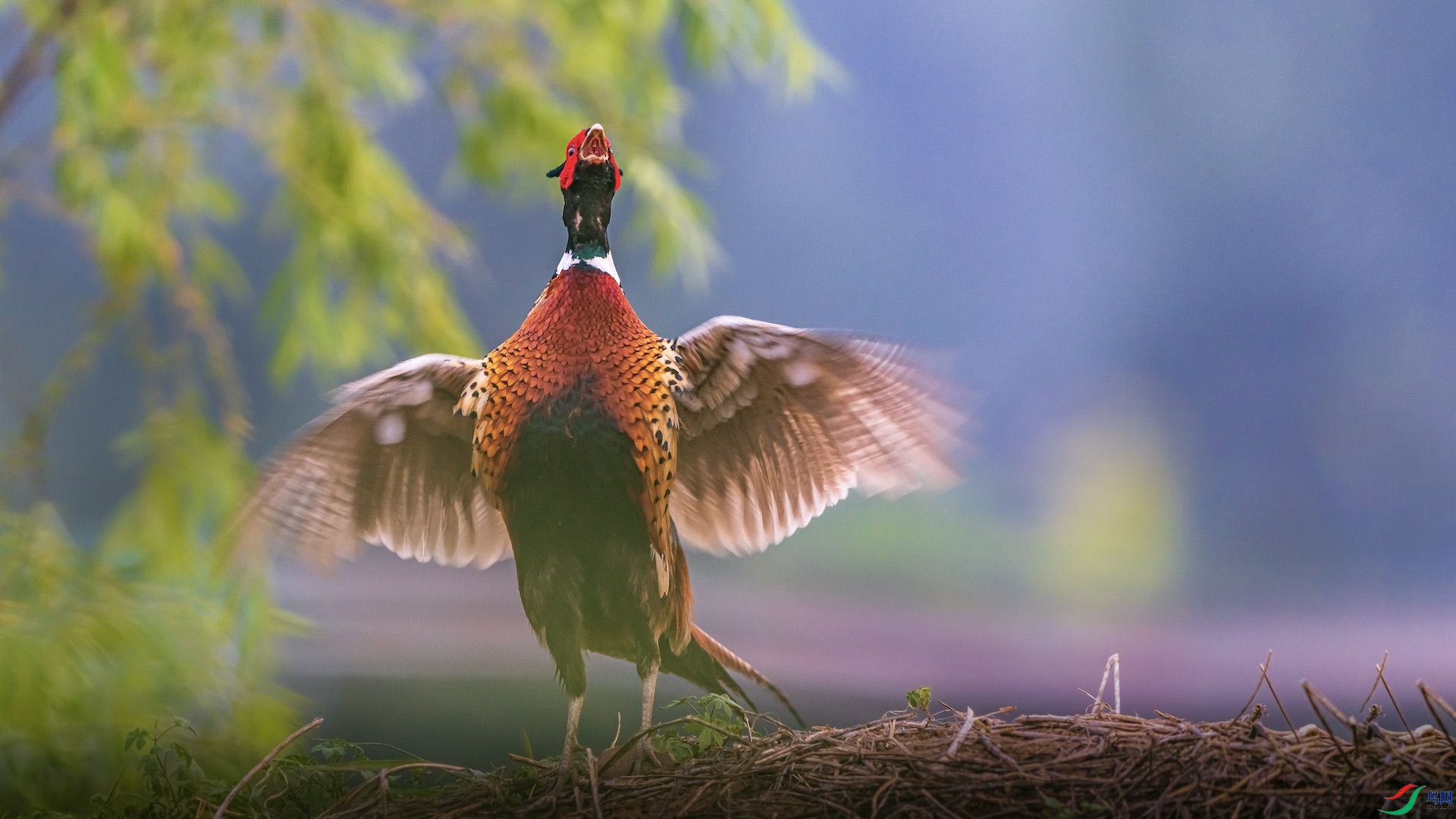 1-XXI_2005 ����.jpeg