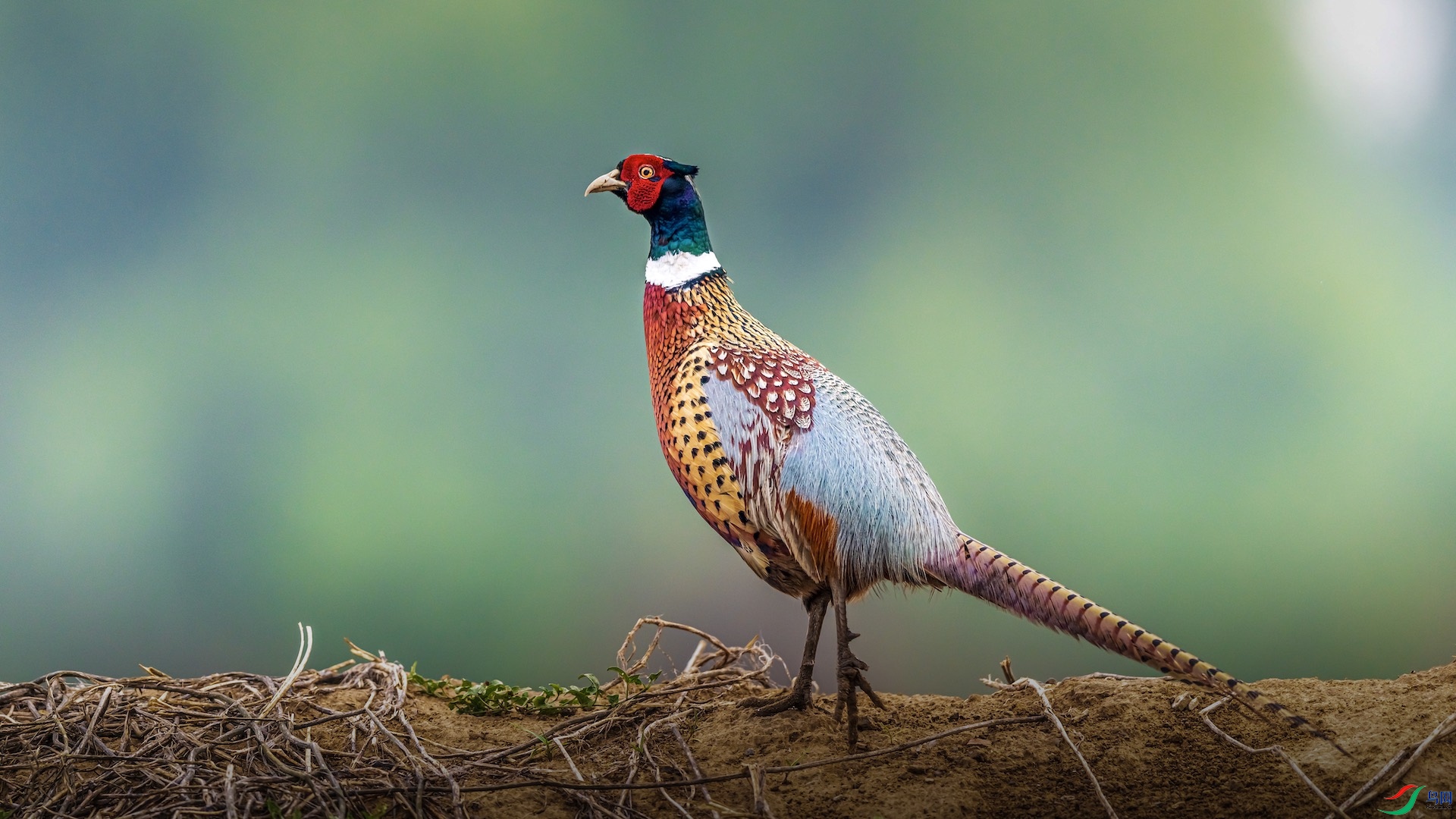 3XXI_2681 ����.jpeg