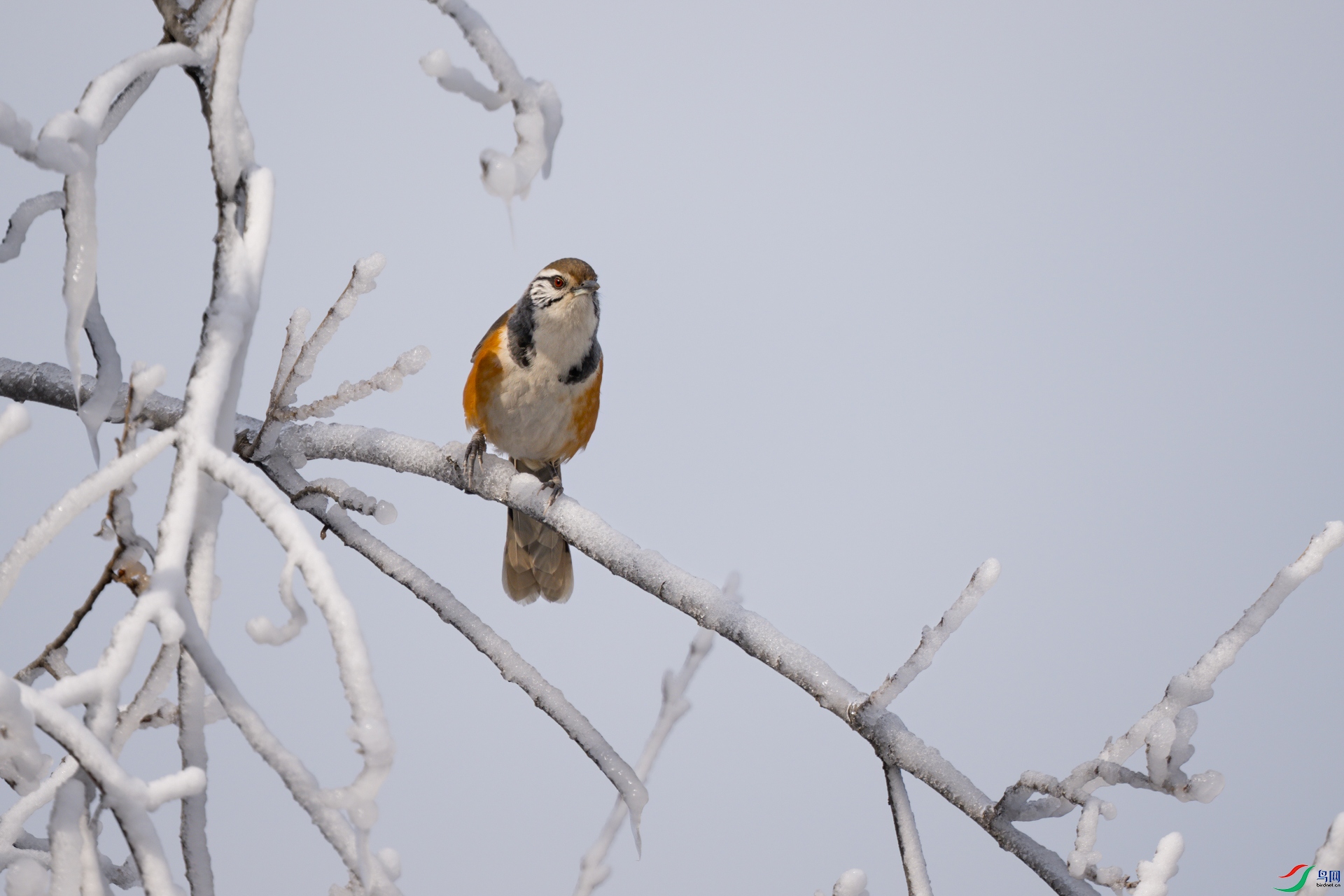 DSC_2659sen2025-1-9-35-�༭.jpg