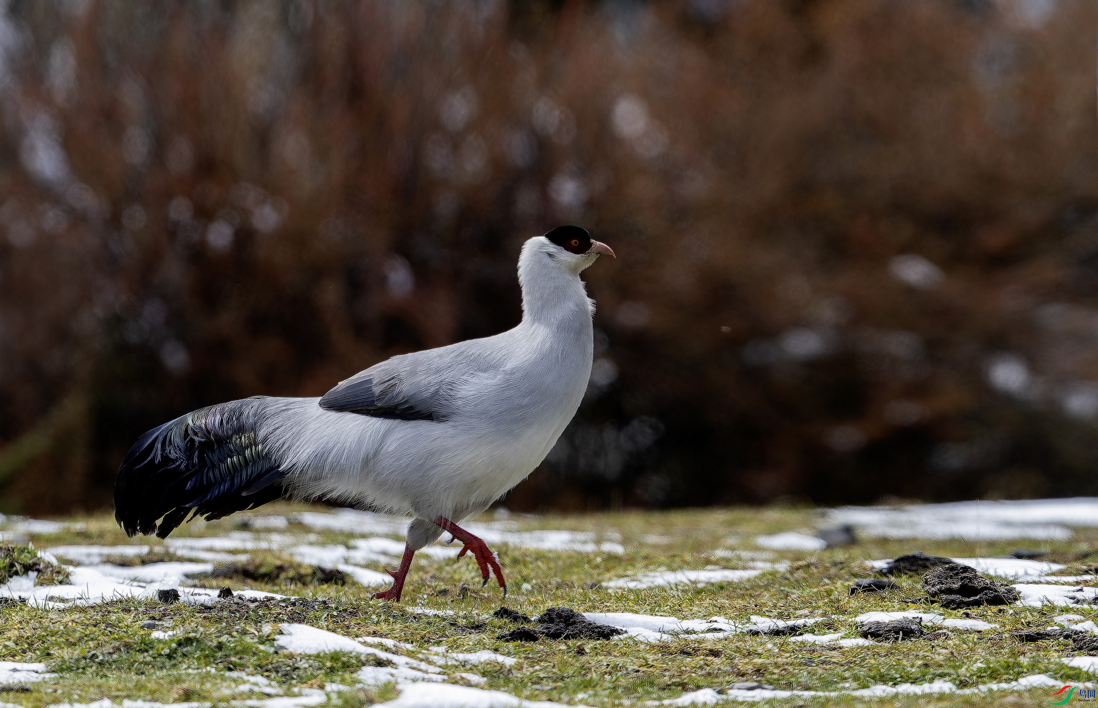 ������  (3)-1.jpg