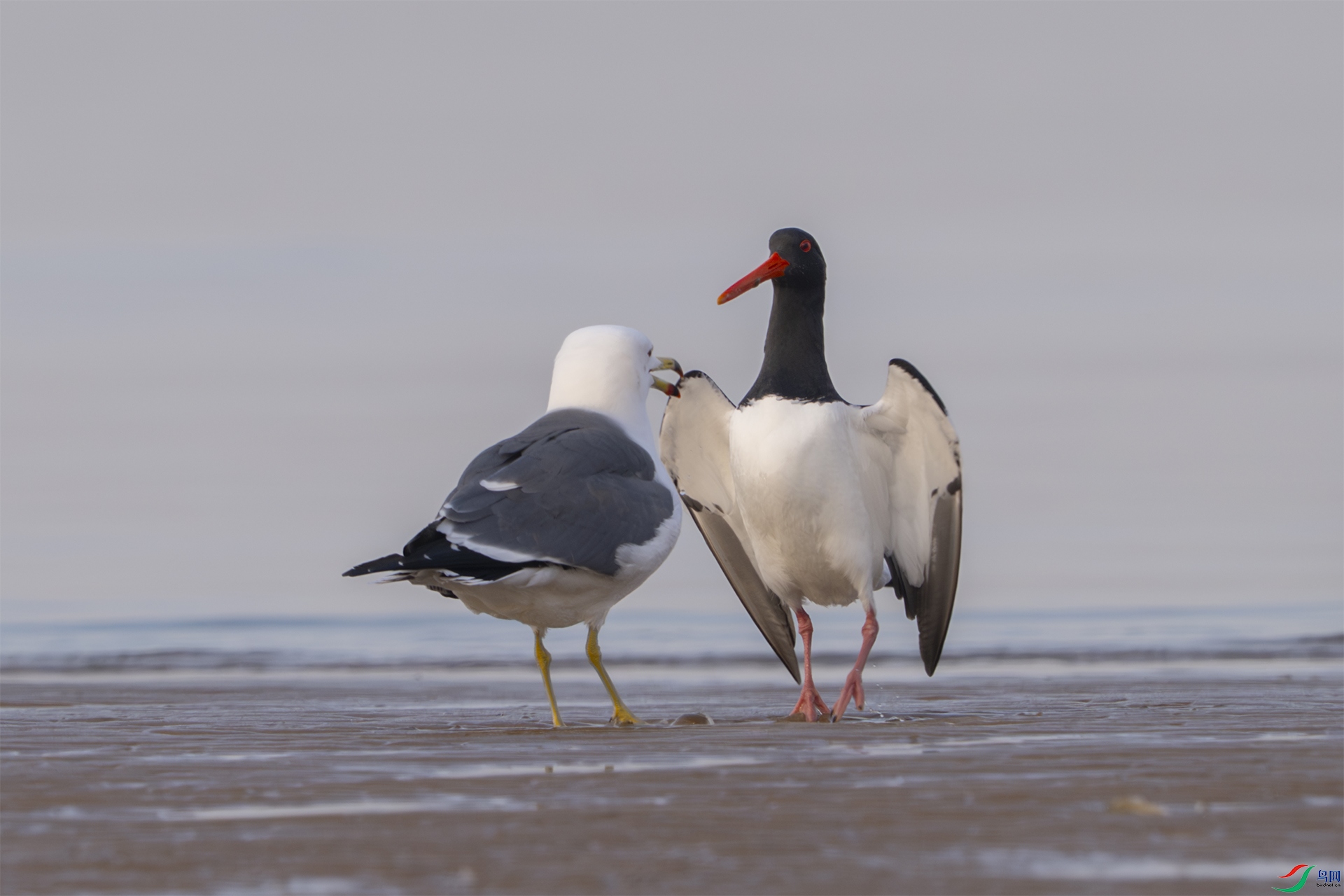 _DSC6266 ���� 1920.jpg