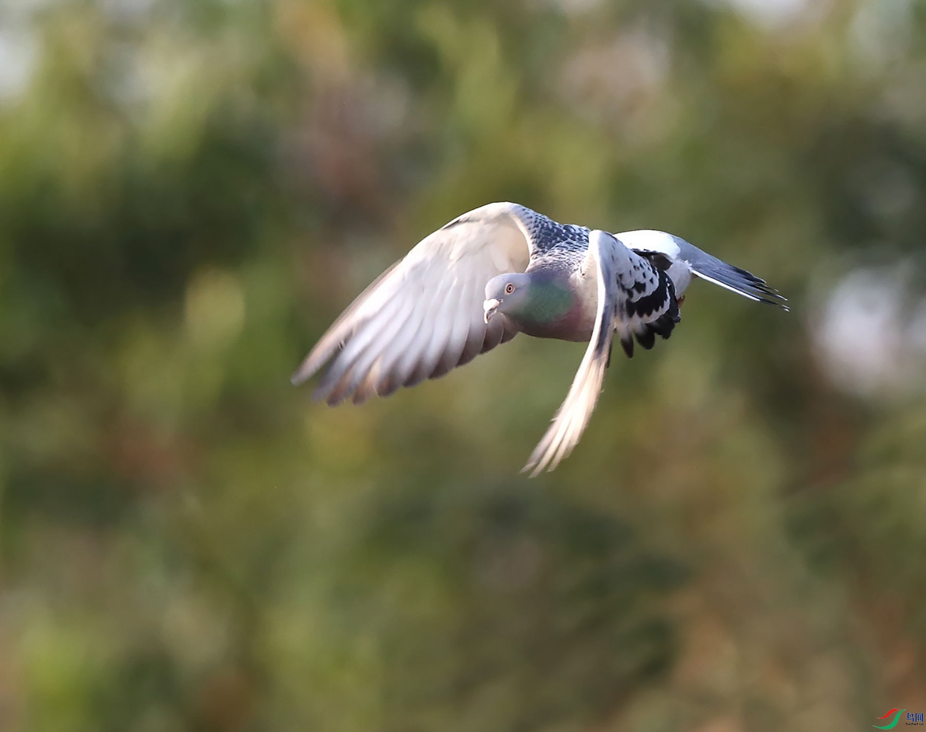 ��ᱨ��ů ����.jpg