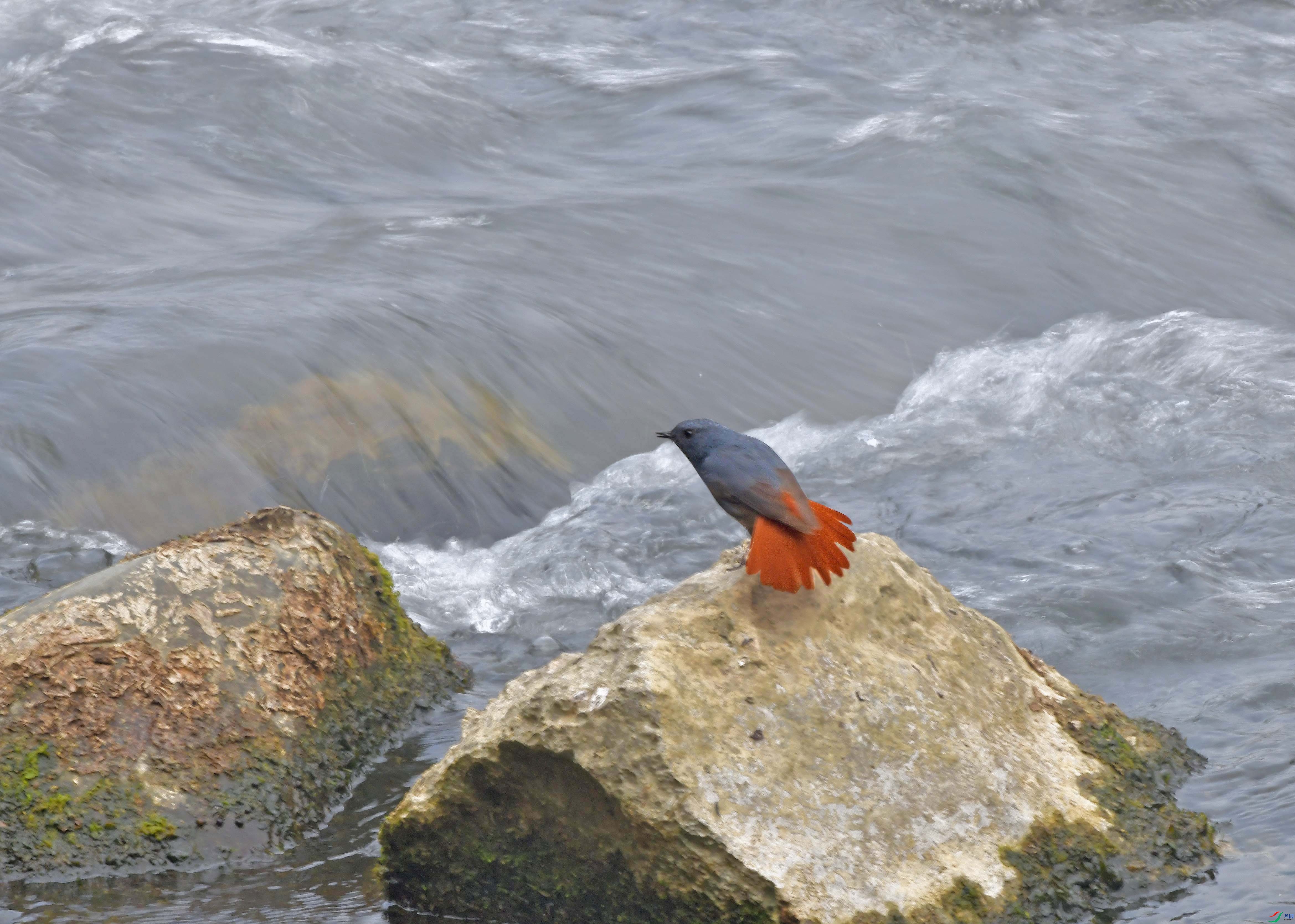 DSC_0229.JPG