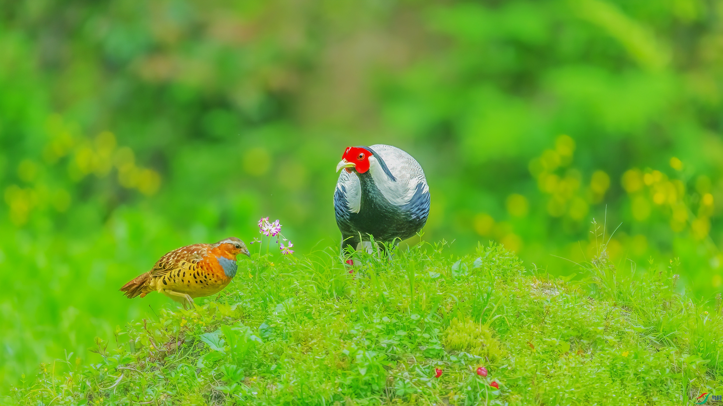 _09R1586 ����.jpg