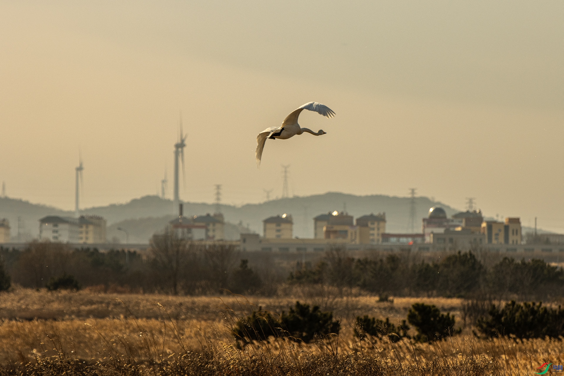 IMG_5906.jpg