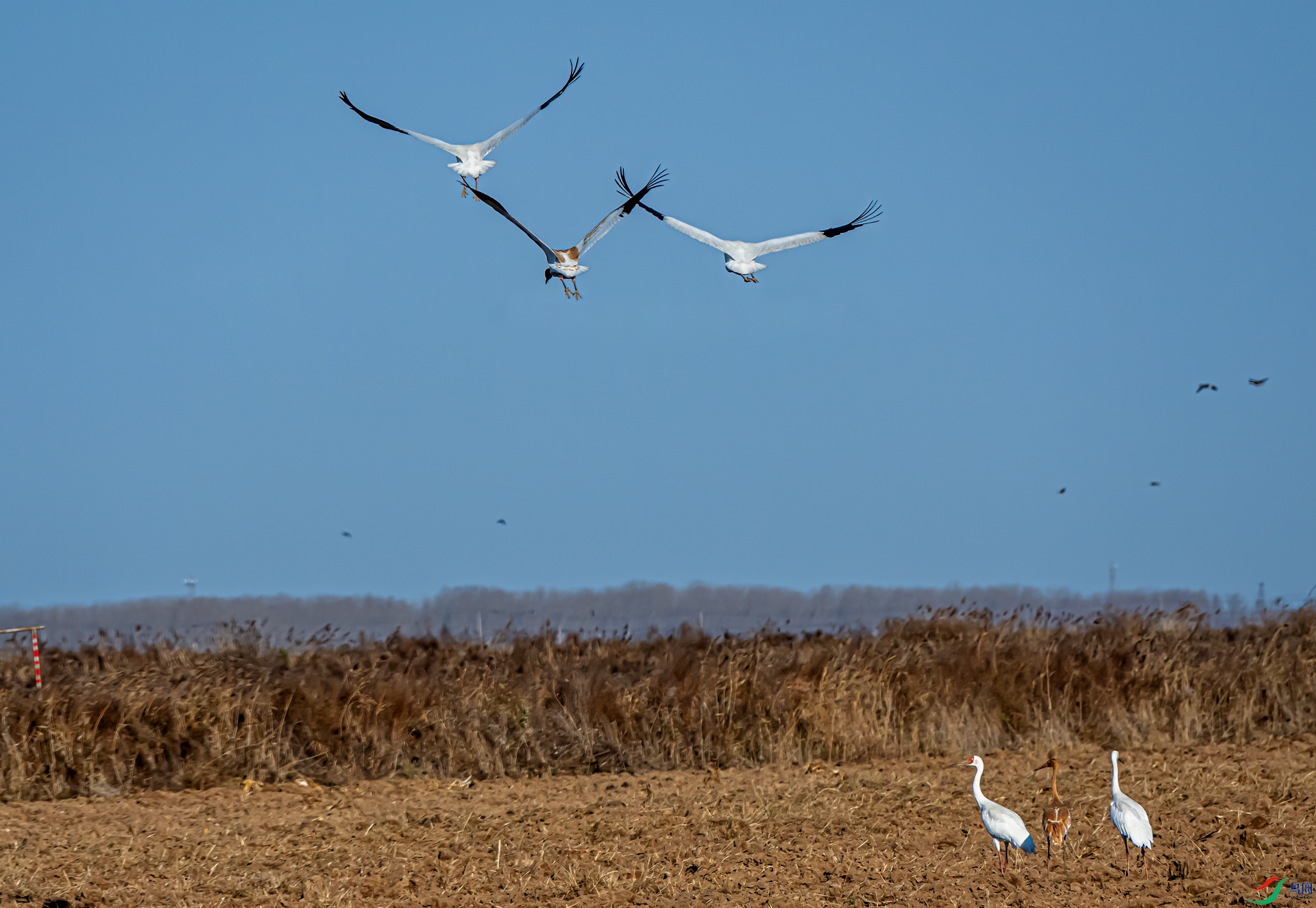 _DSC3020-11.jpg