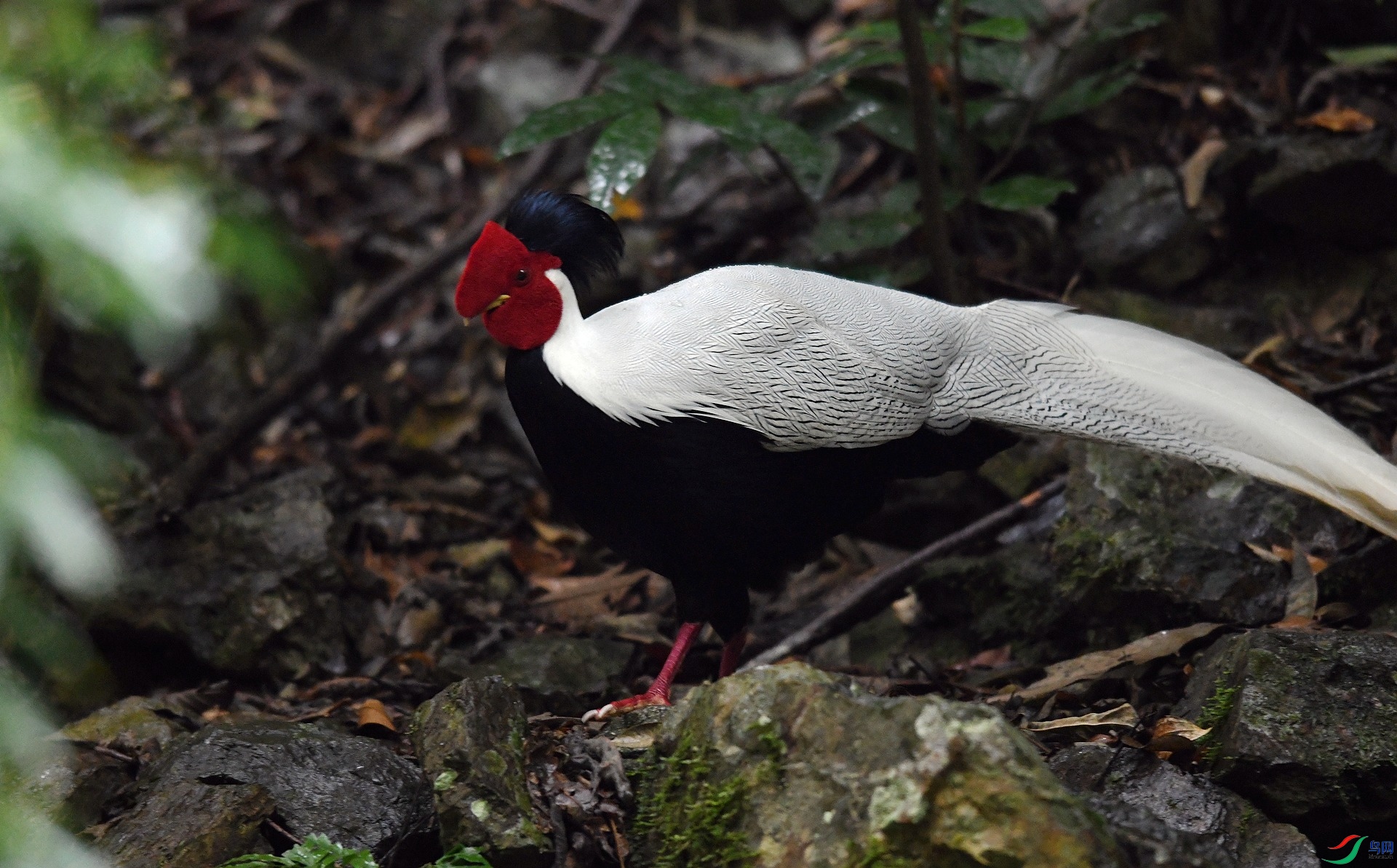 DSC_1345.jpg