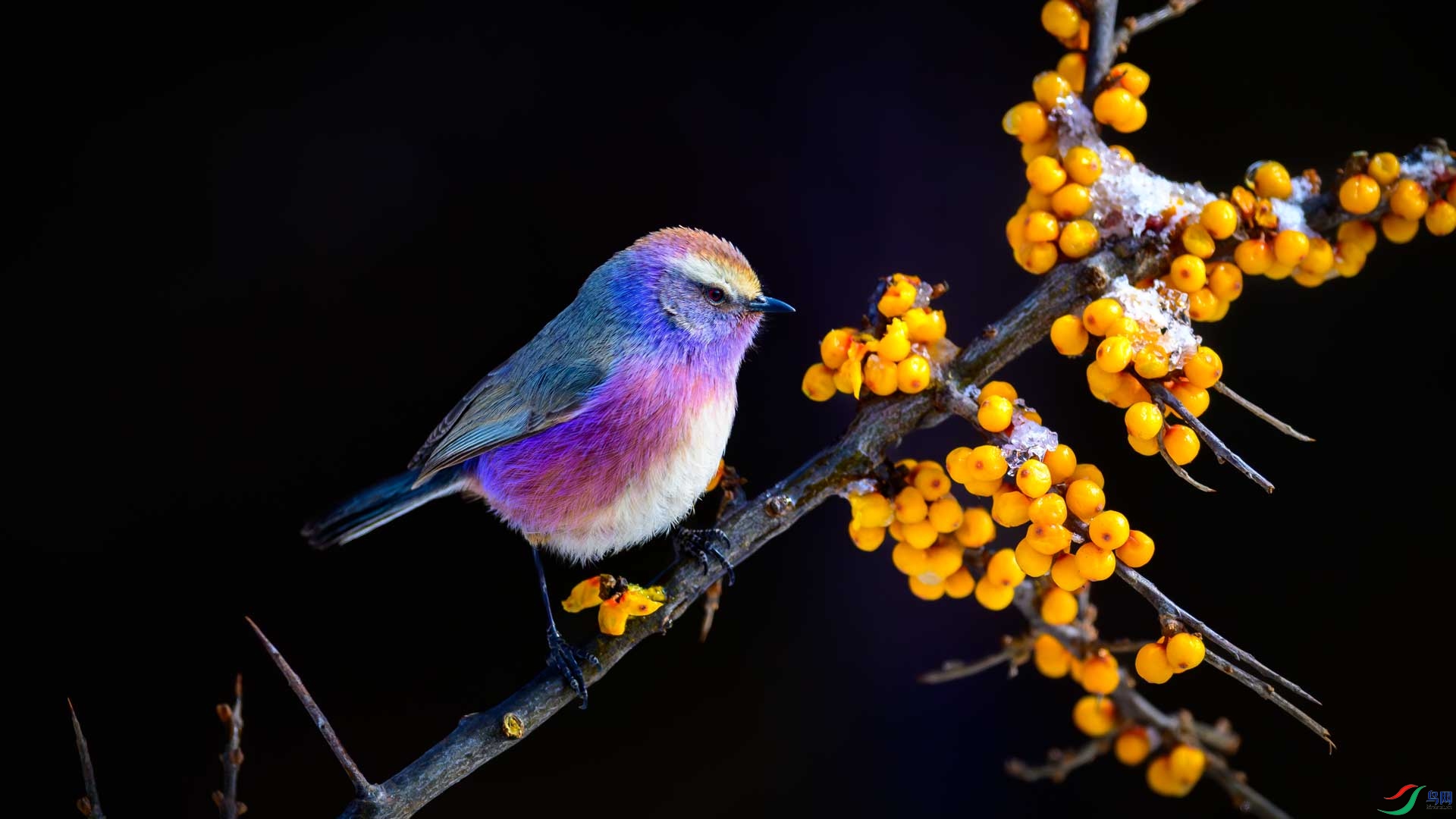 ����ɳ��- (2).jpg