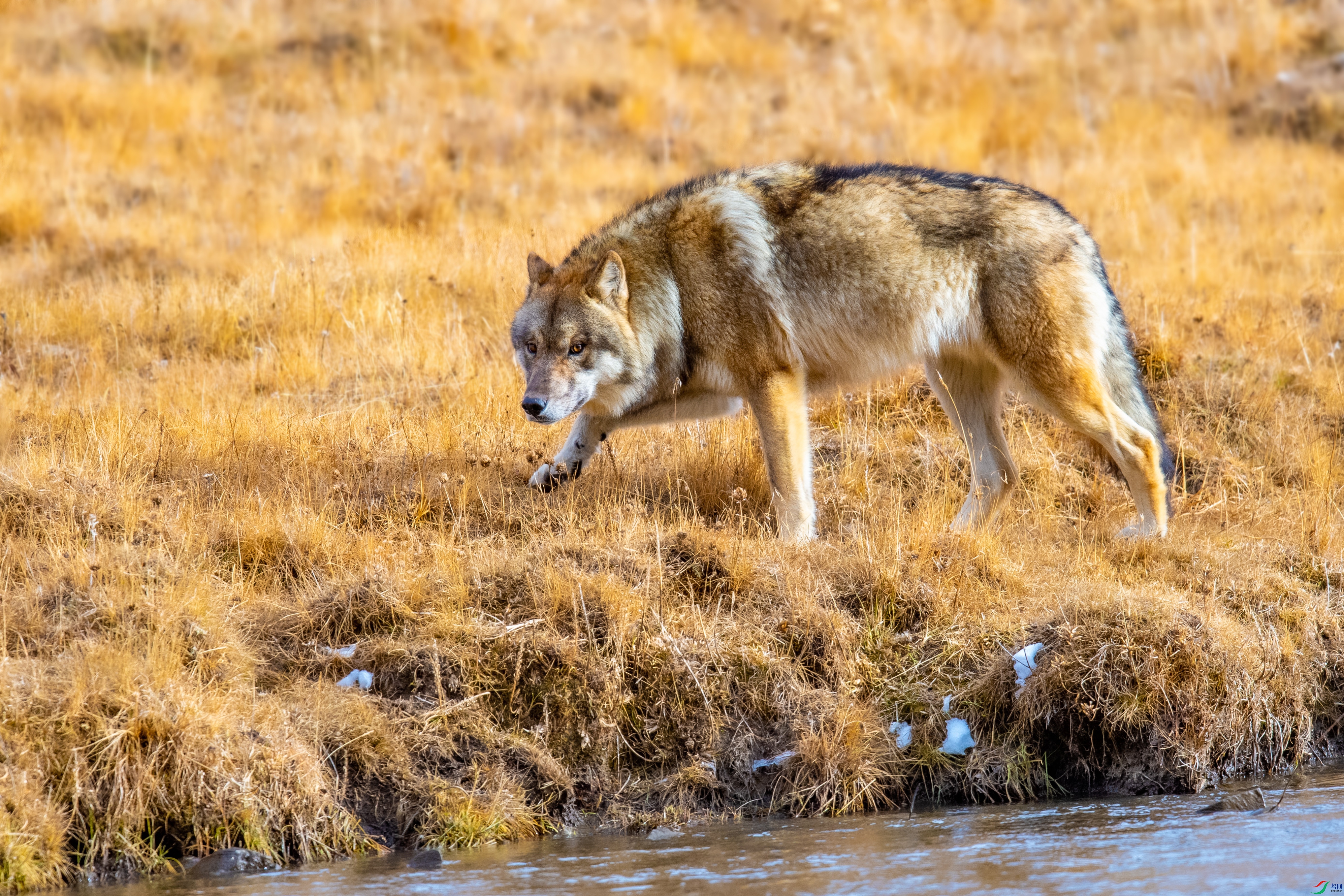 DSC_1405.jpg