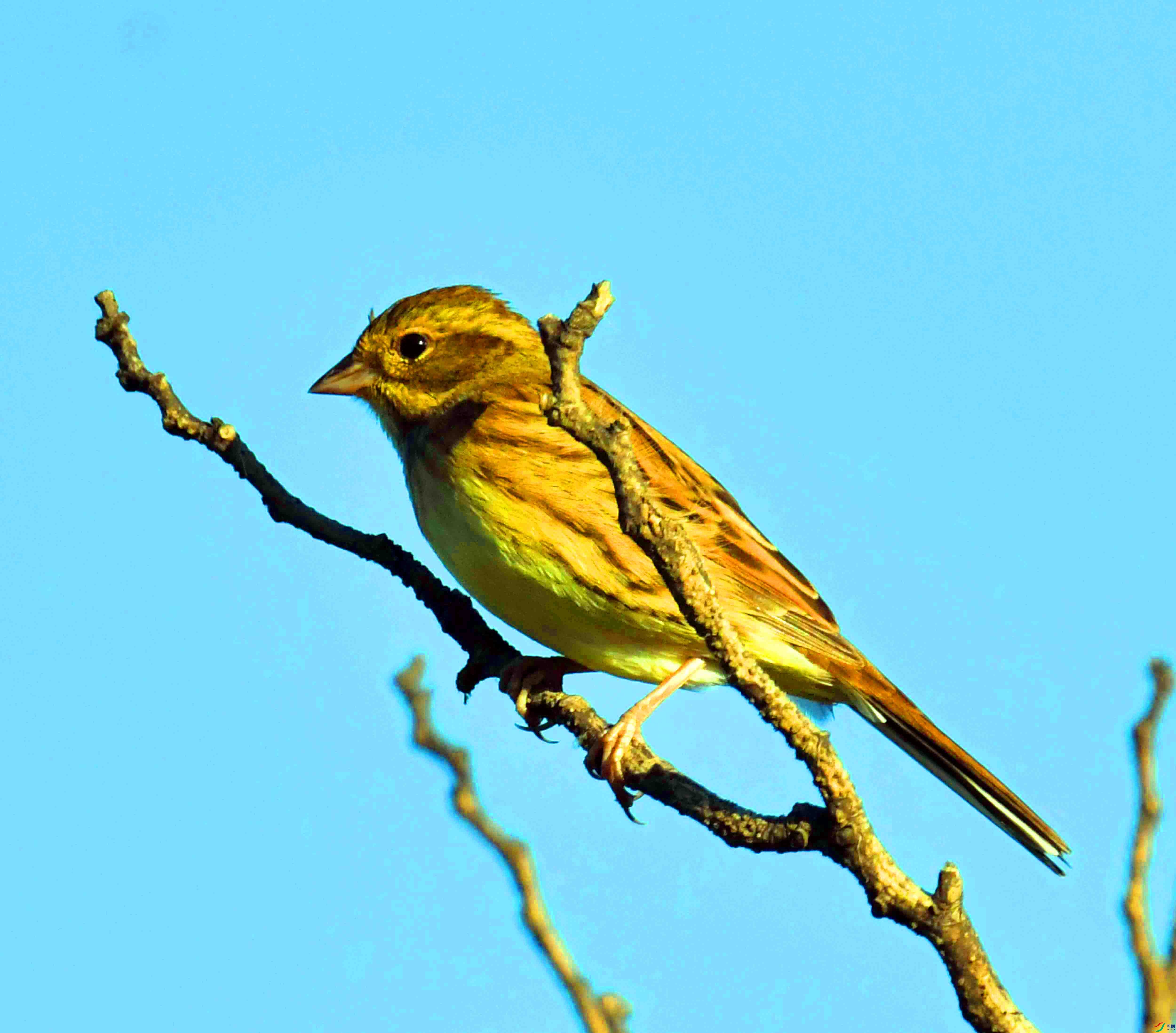 DSC_9986.JPG