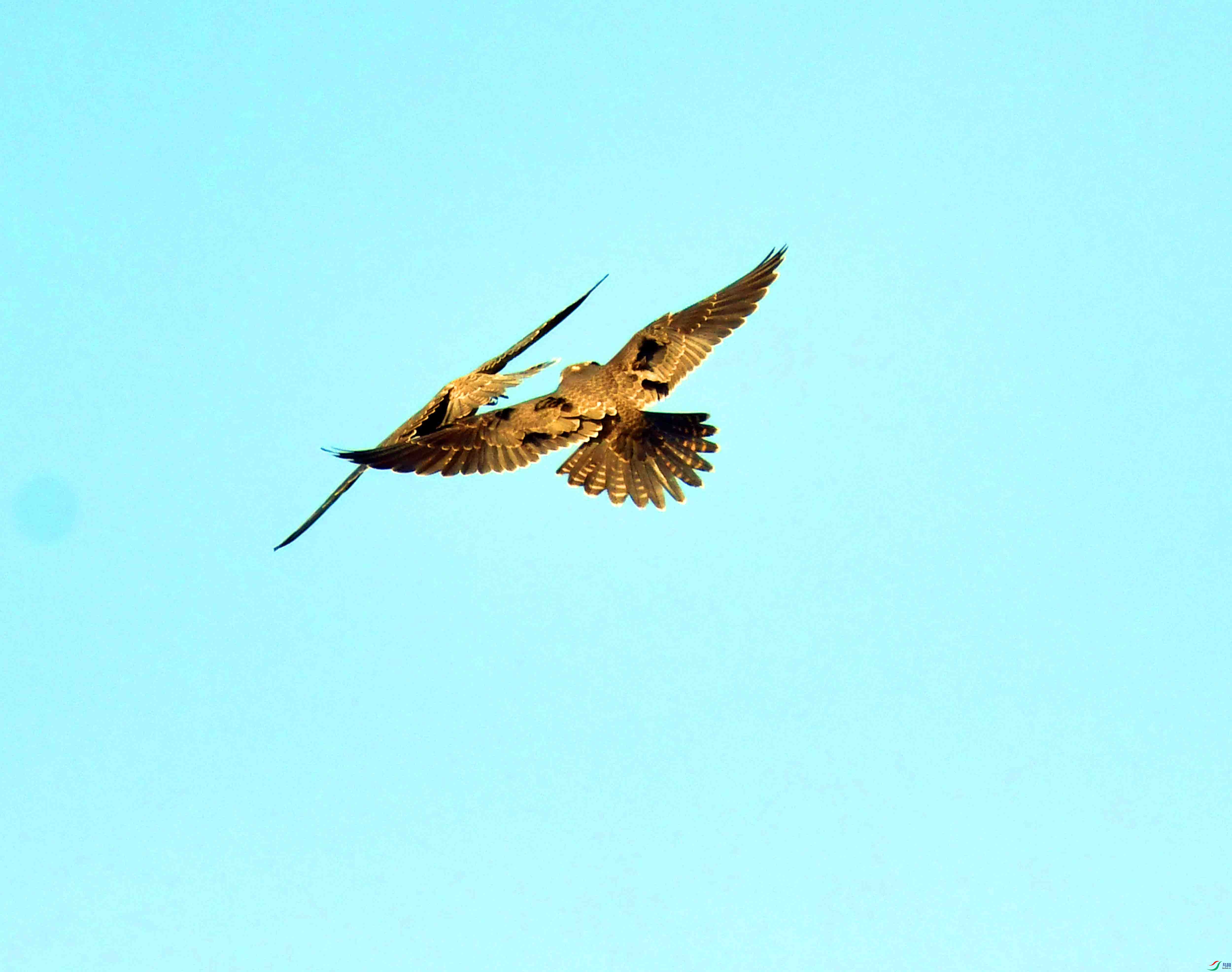 DSC_4148.JPG