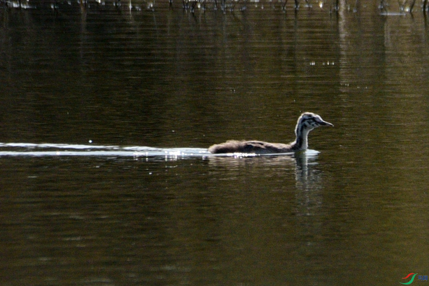 DSC_7188.JPG