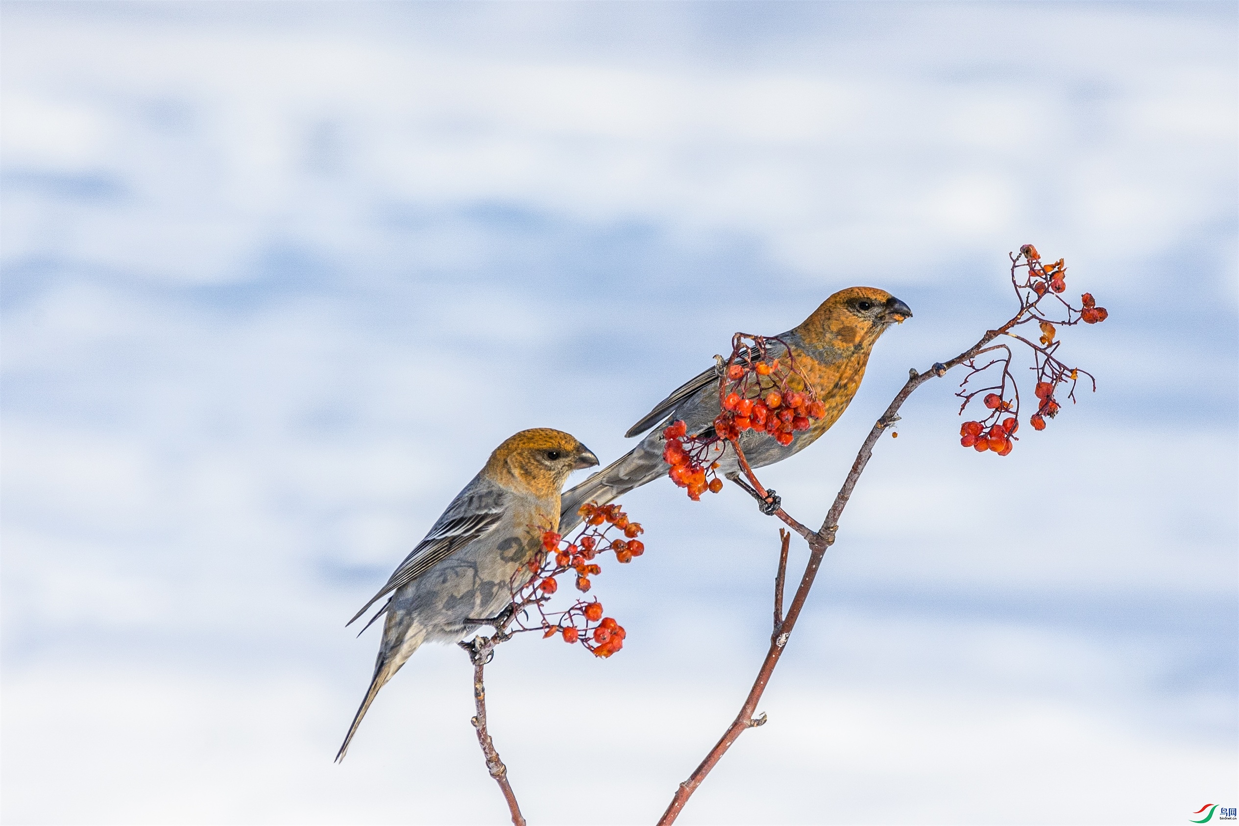 1K3A0994 ����1.jpg