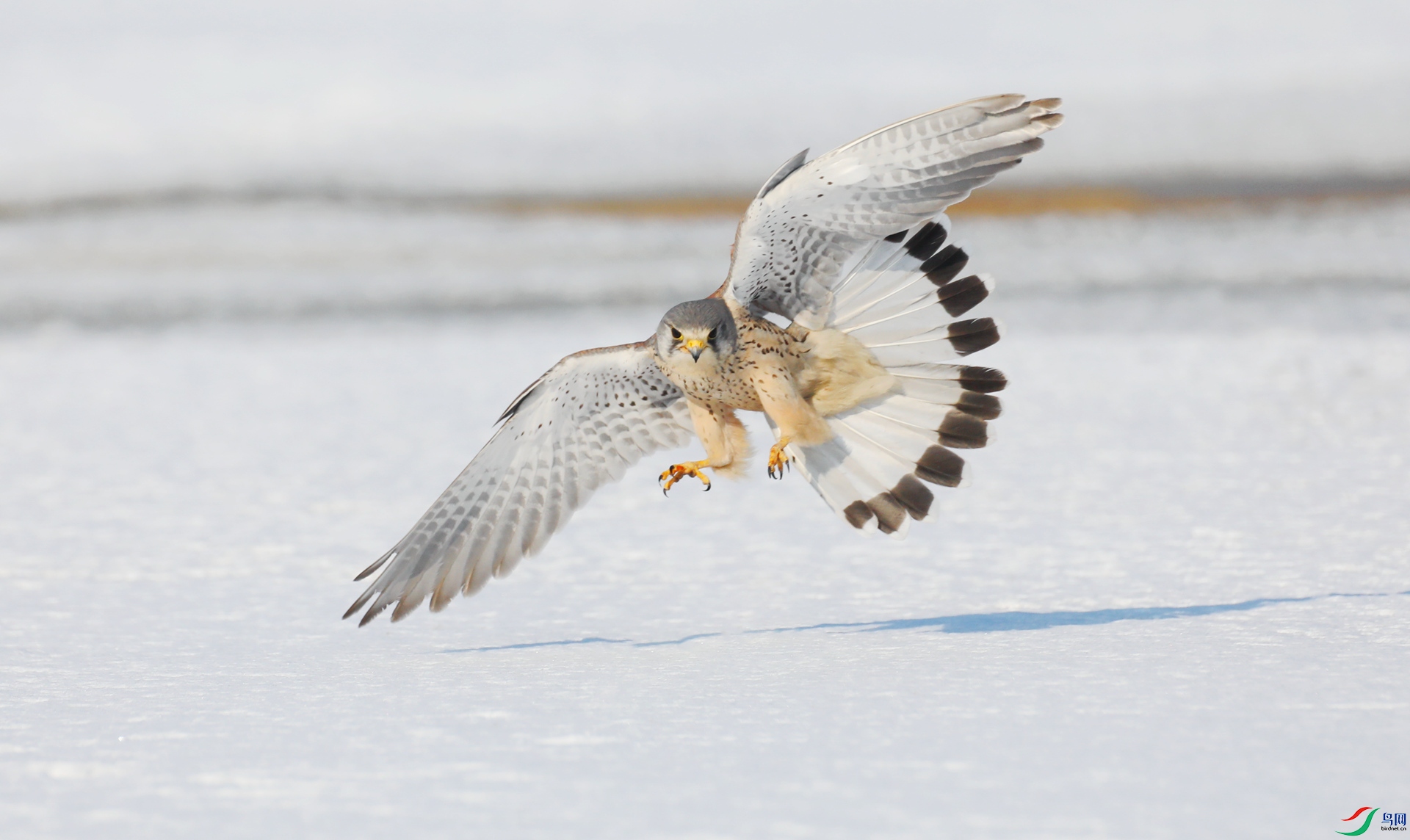 9G8A4824 ����.jpg