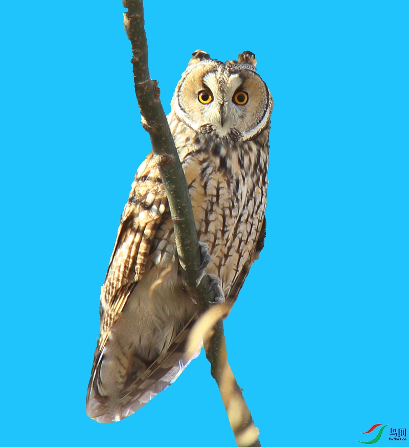 ��Ƭ 033_����.jpg