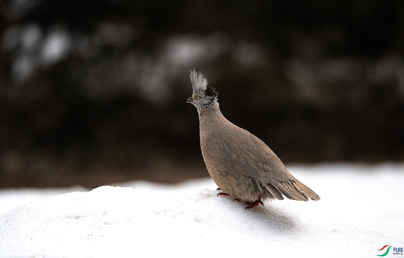 DSC_4770 ����.jpg