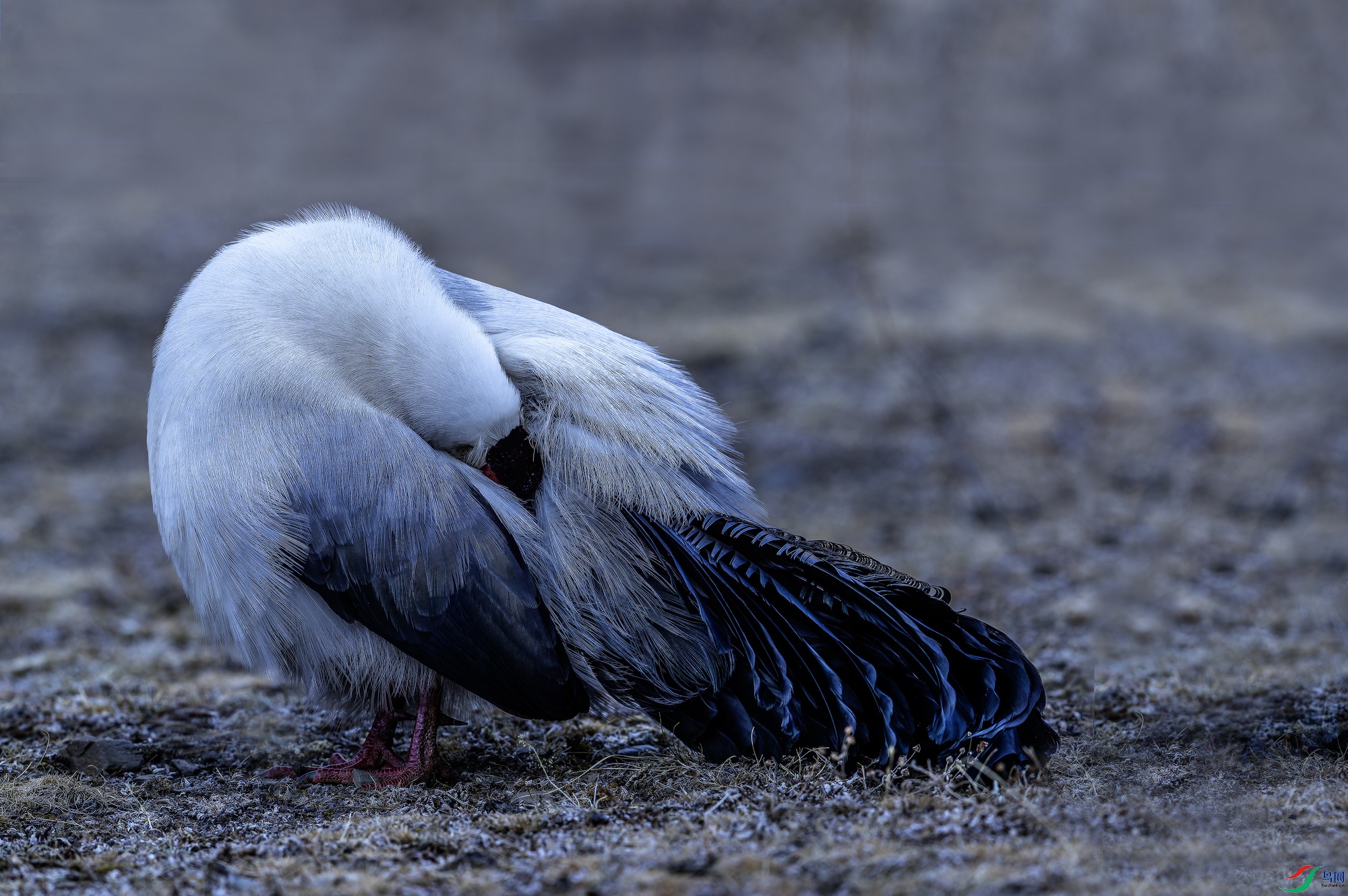 ������  (7)-1.jpg