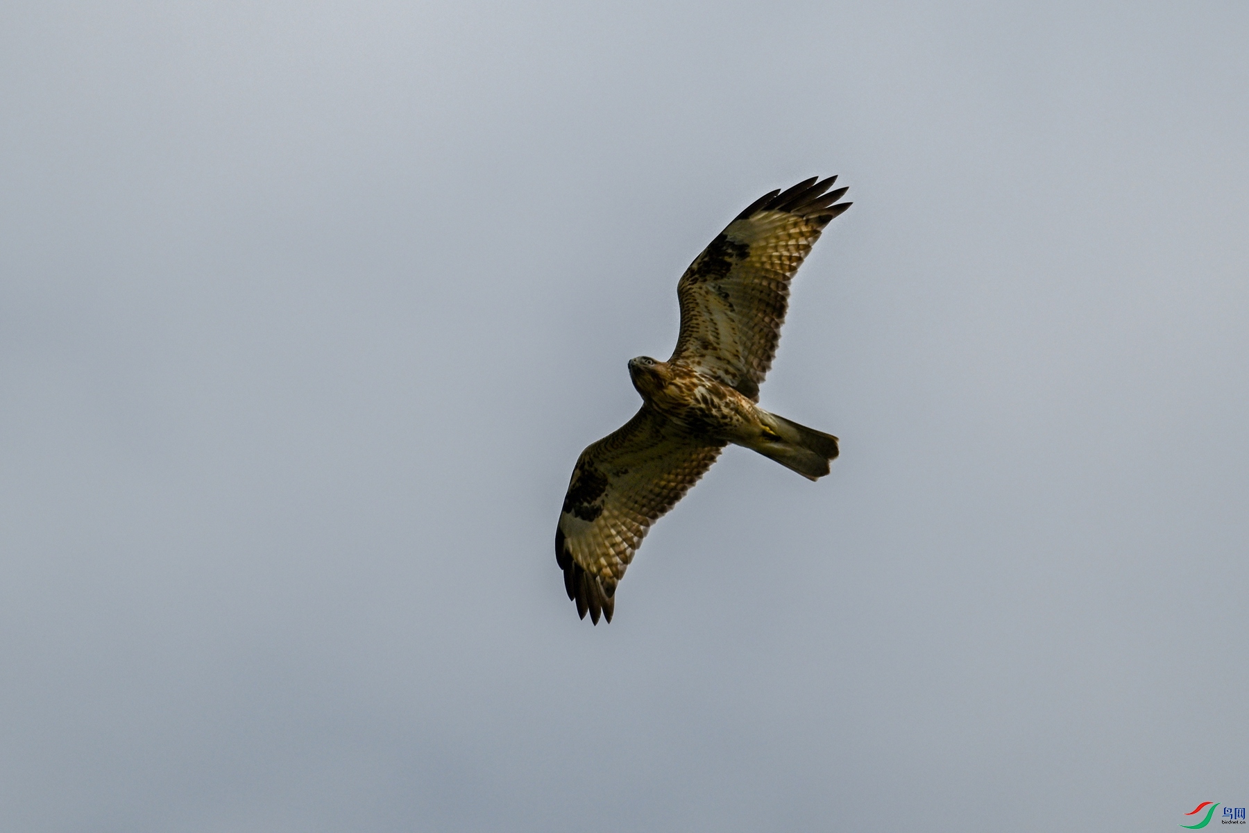DSC_4818.JPG