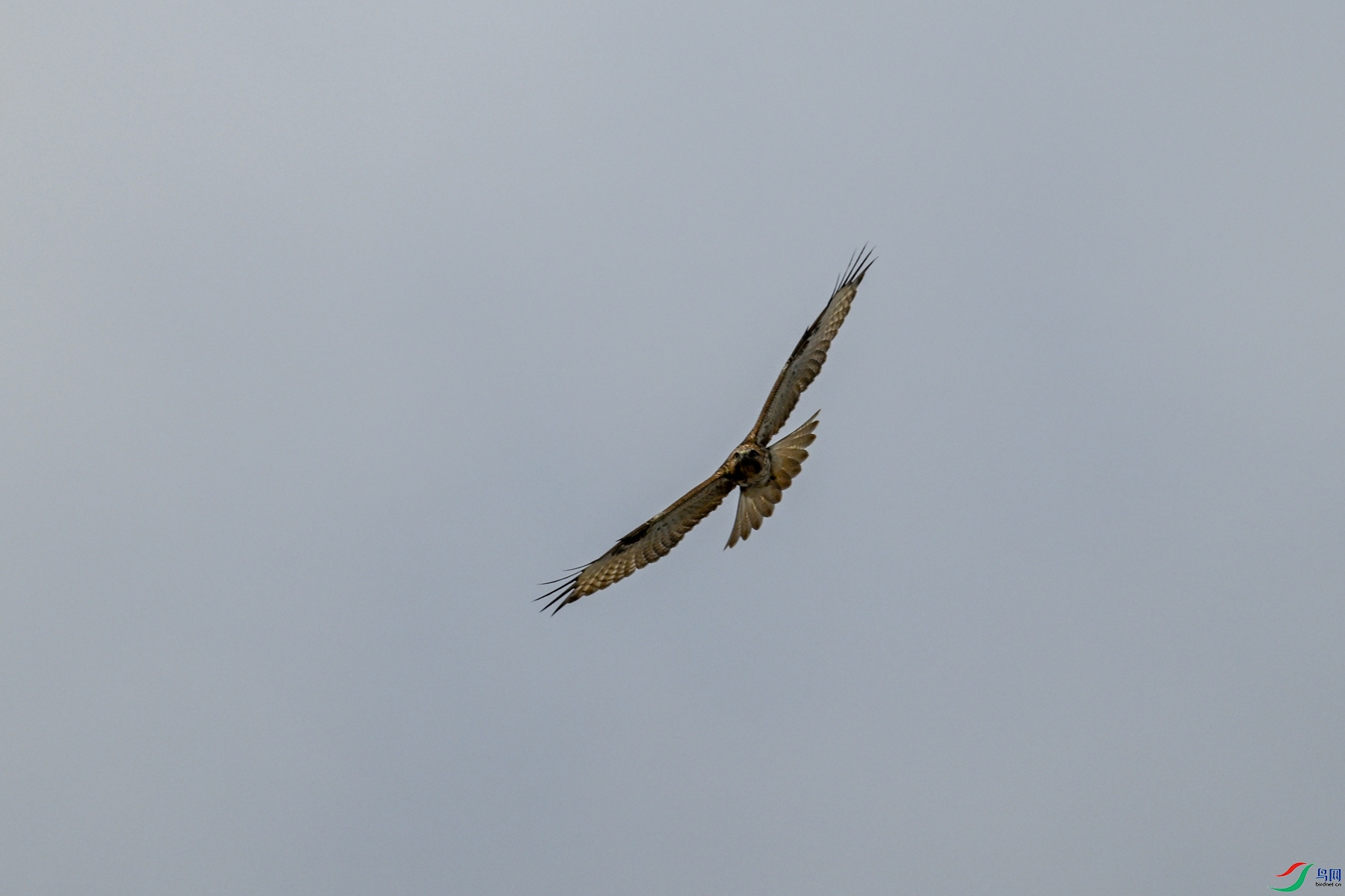 DSC_4834.JPG