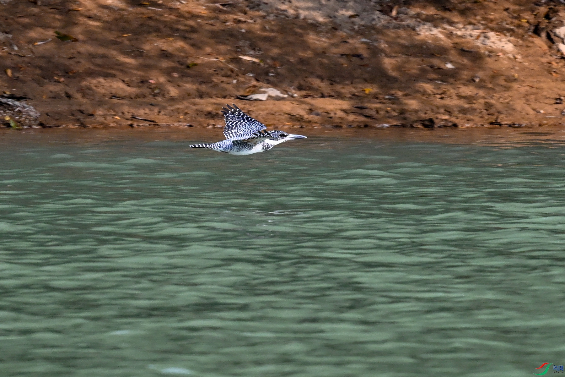 DSC_7842.JPG