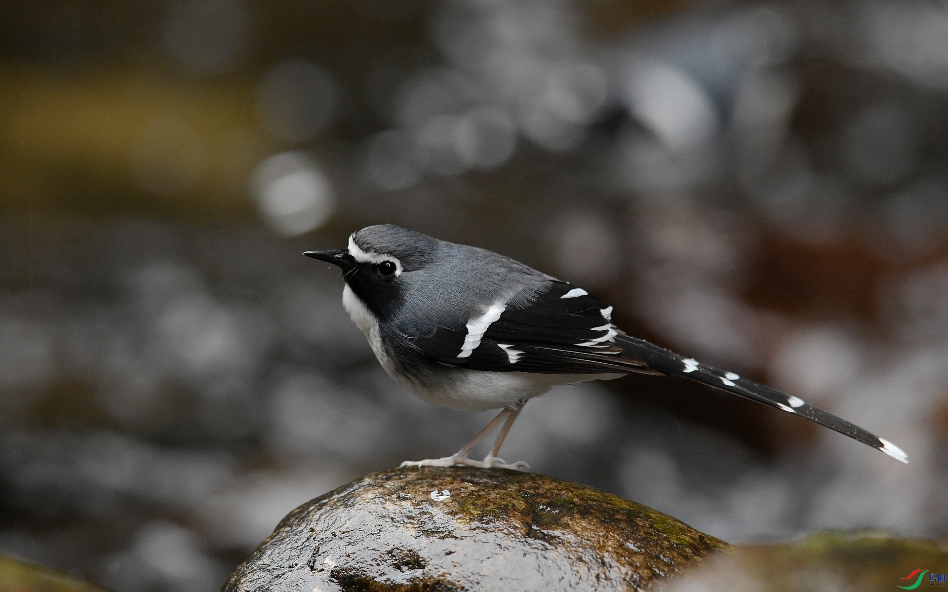 DSC_1586.jpg
