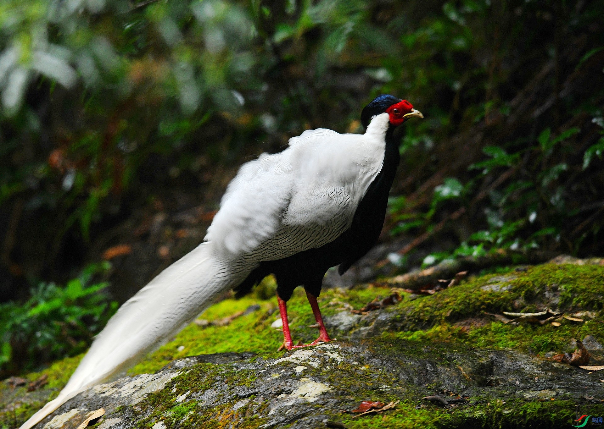 DSC_1428.jpg