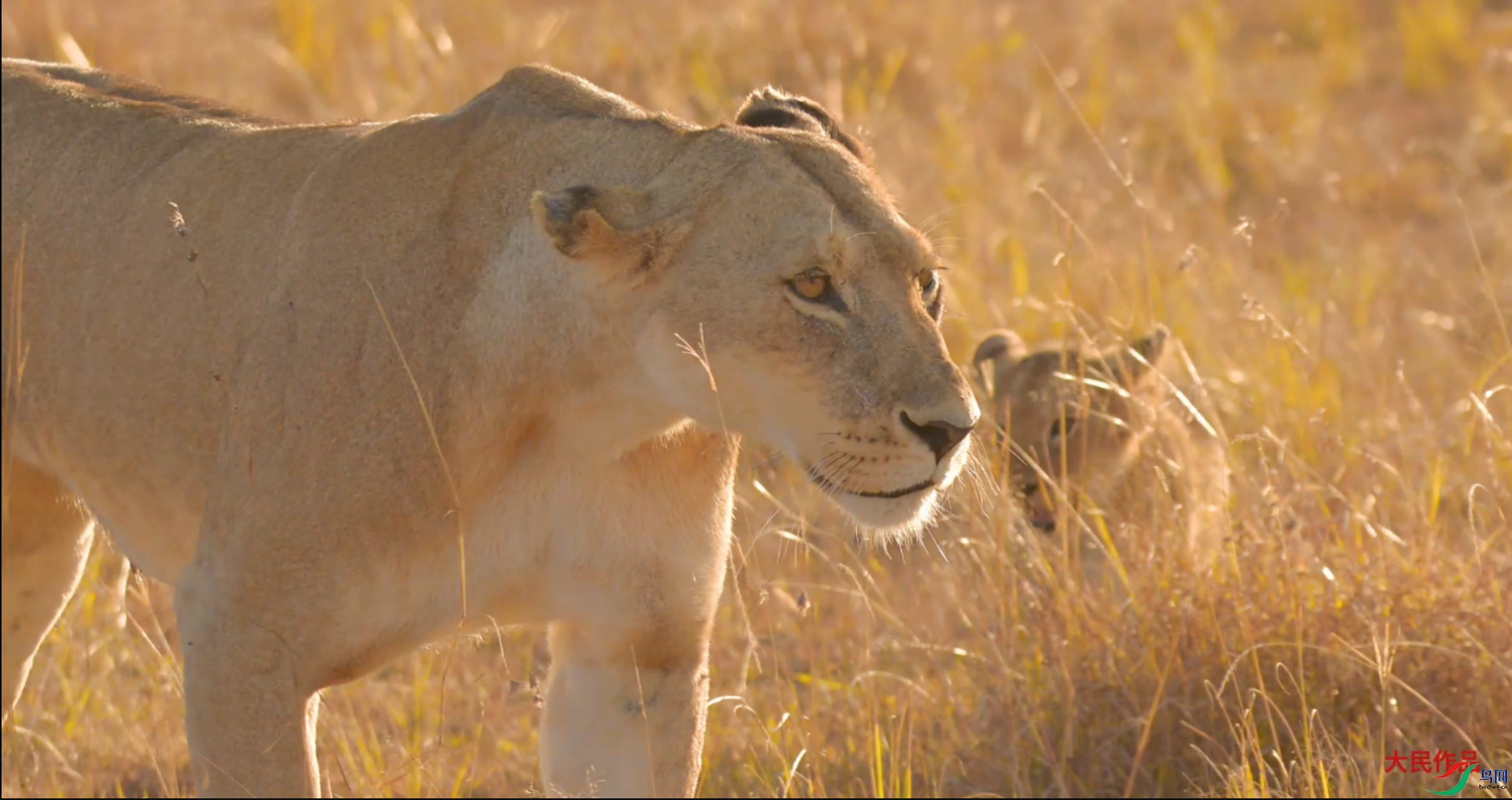 {993AA7F0-850B-493E-AE6D-9850ABB97C7C} ����.jpg