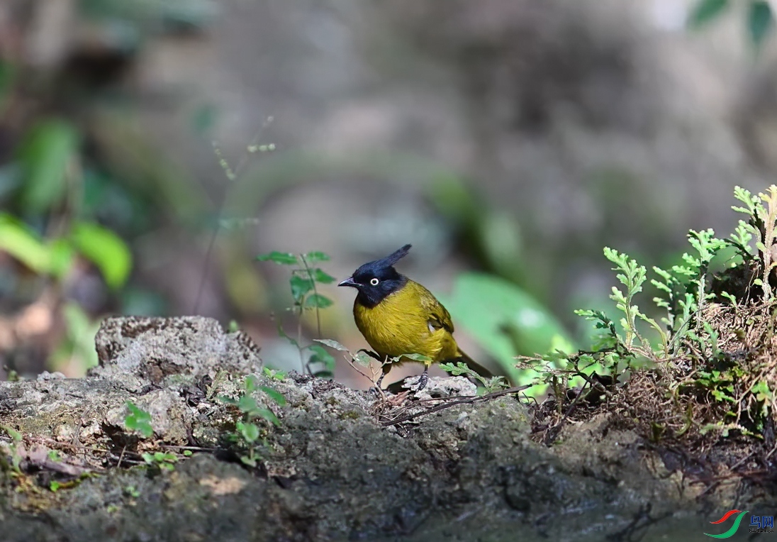 DSC_0536.jpg