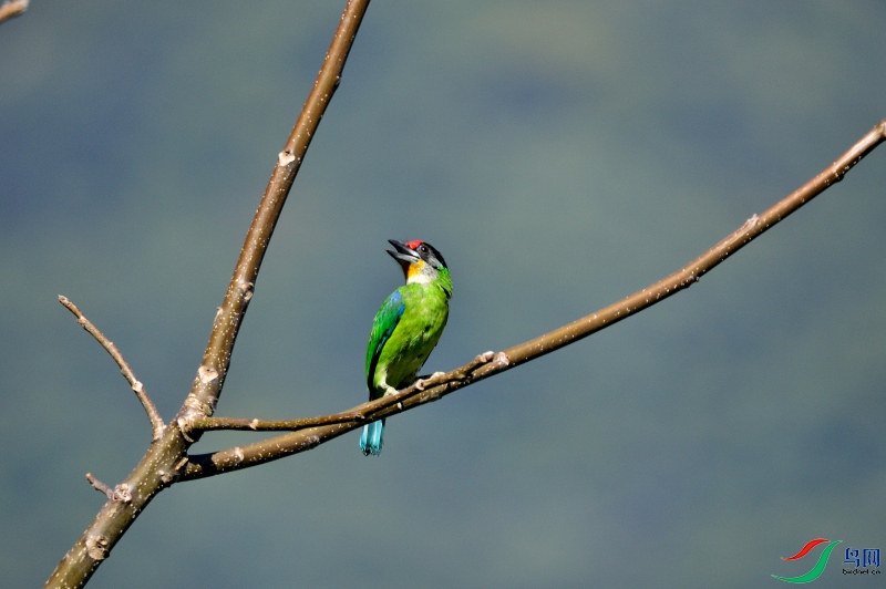 DSC_6151.JPG