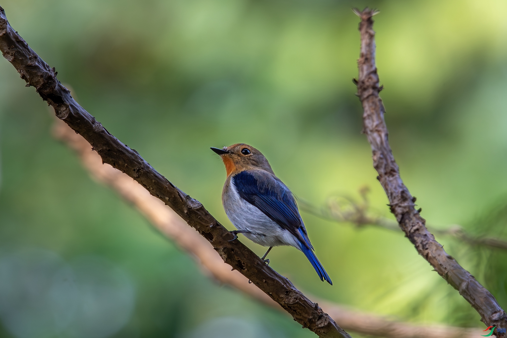 DSC_0004-2.jpg