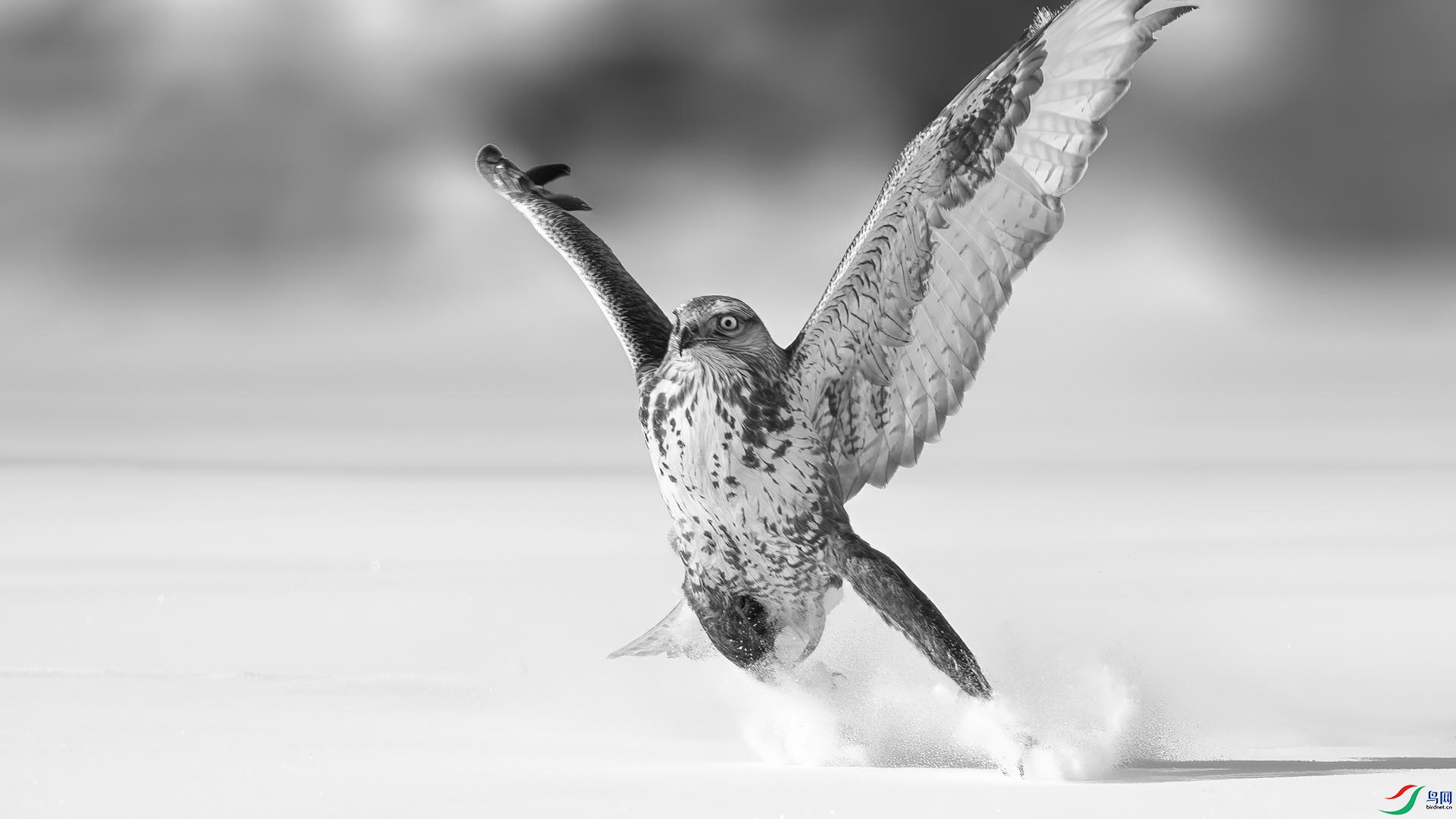 DSC05572 ���� 2.jpg