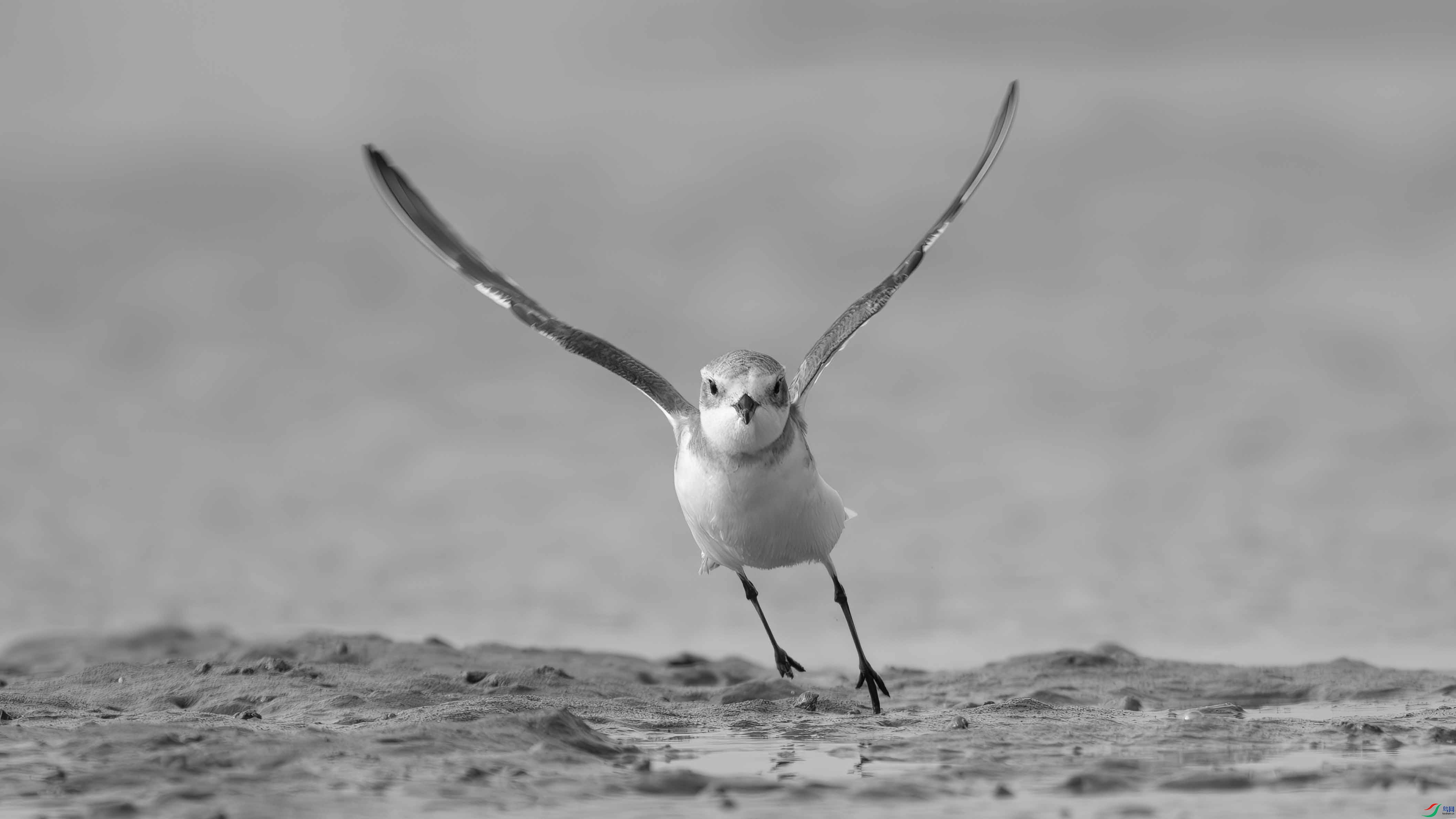 DSC02415-����ǿ-NR ���� 2.jpg