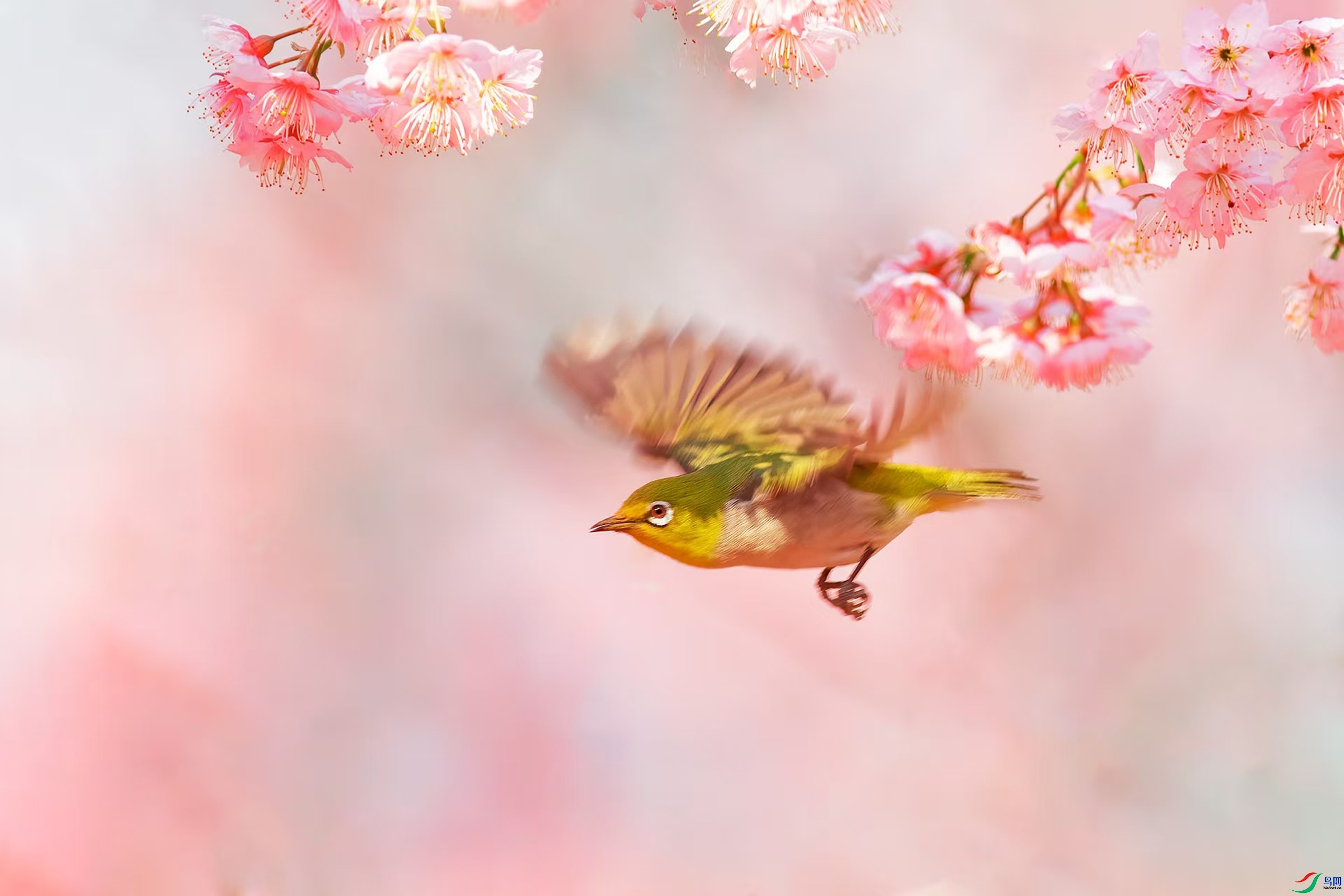 2.21��������ʦ��Ʒ   ����ͼ  ��ף���ٻ����Ѿ�����.jpg