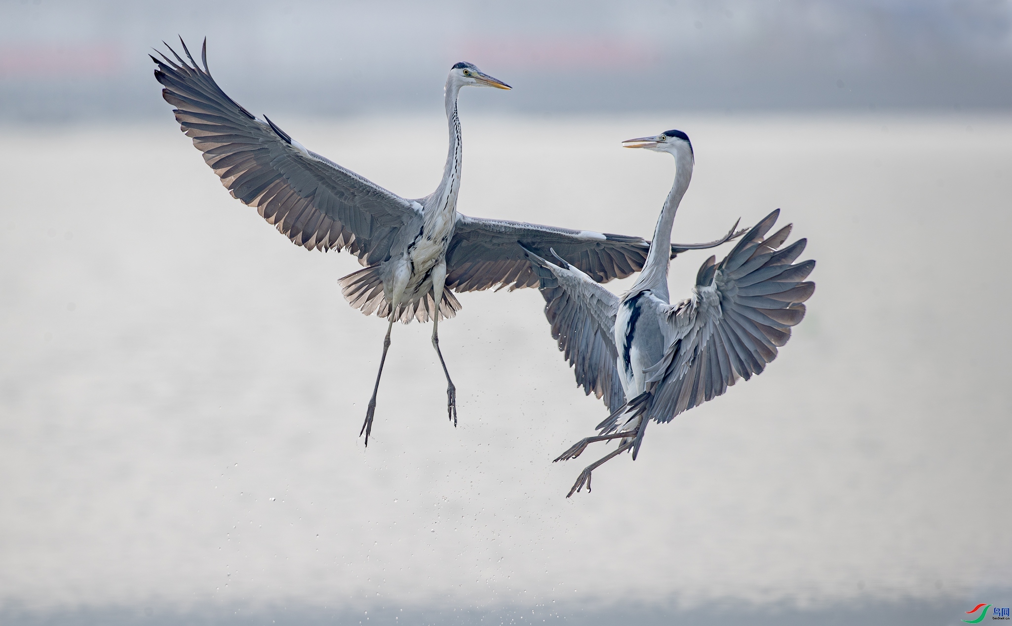 2.21������ʦ��Ʒ   ����  ��ף���ٻ���Ӱʦ������.jpg