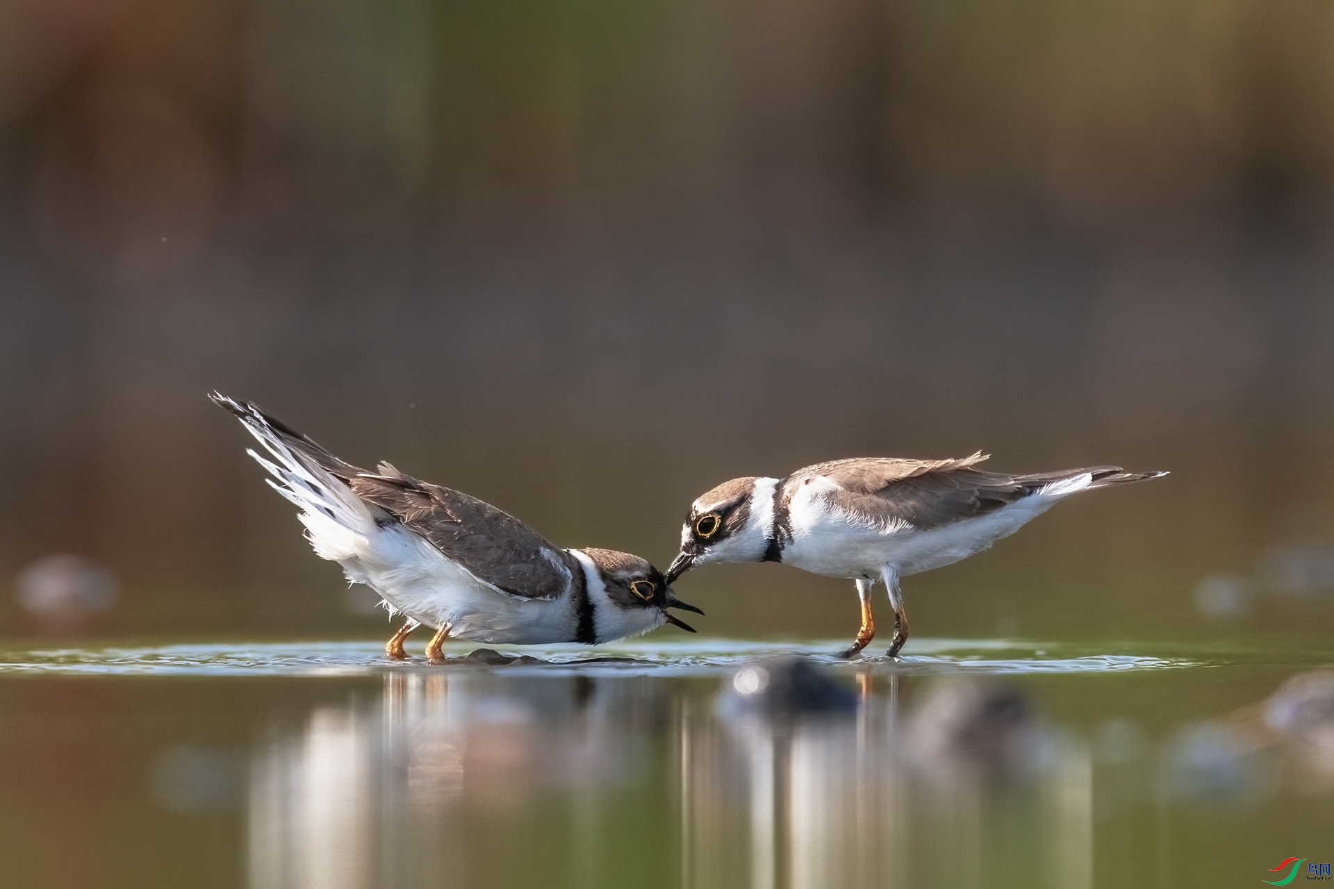 021A4729-�༭-�༭ ����.jpg