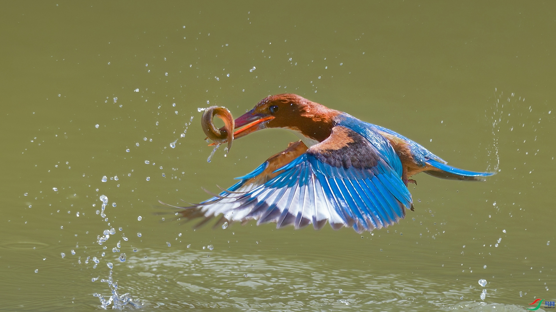 2.23�ƽ�Ҷ��ʦ��Ʒ   ������䡪��������� ��ף���ٻ����Ѿ�����.jpg