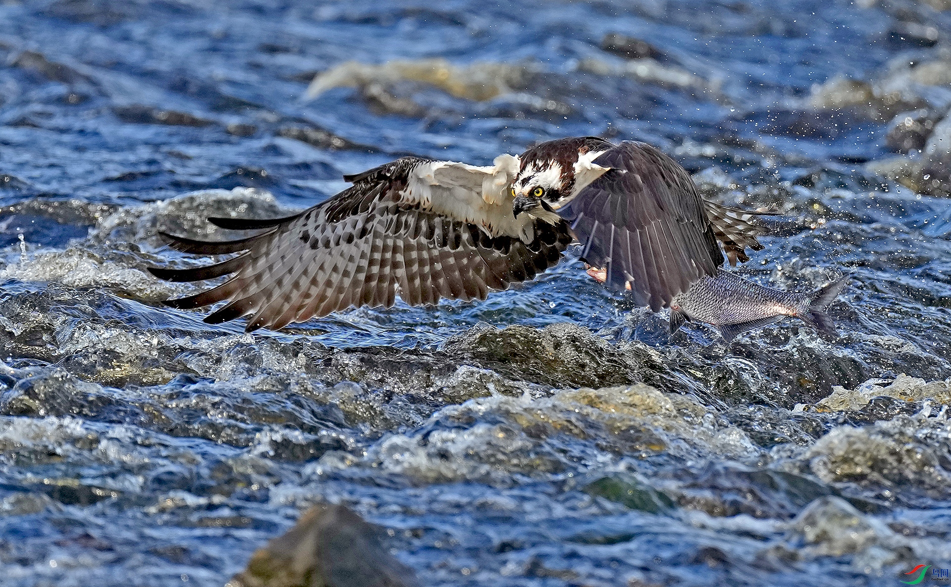 DSC04500--.jpg