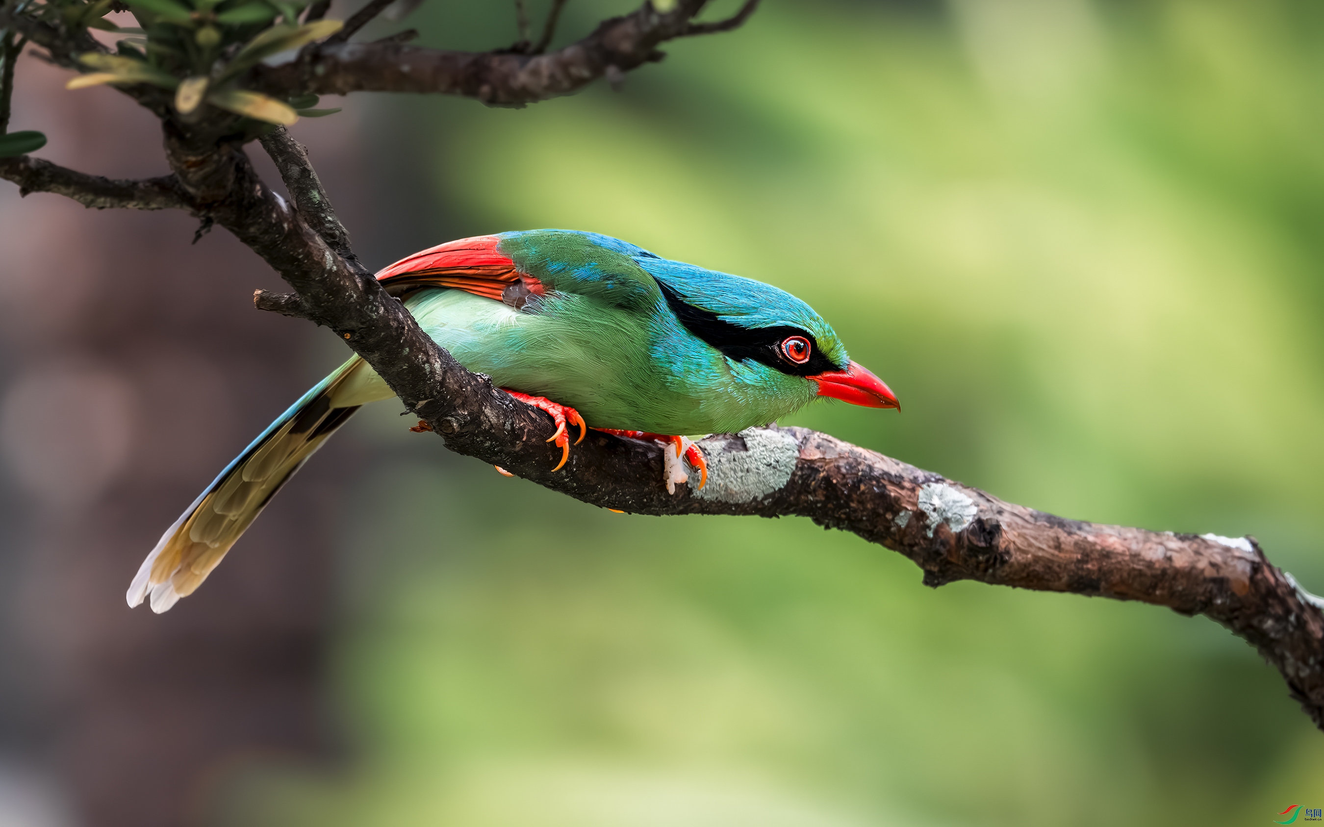 DSC_7191-����ǿ-NR ���� 2.jpg