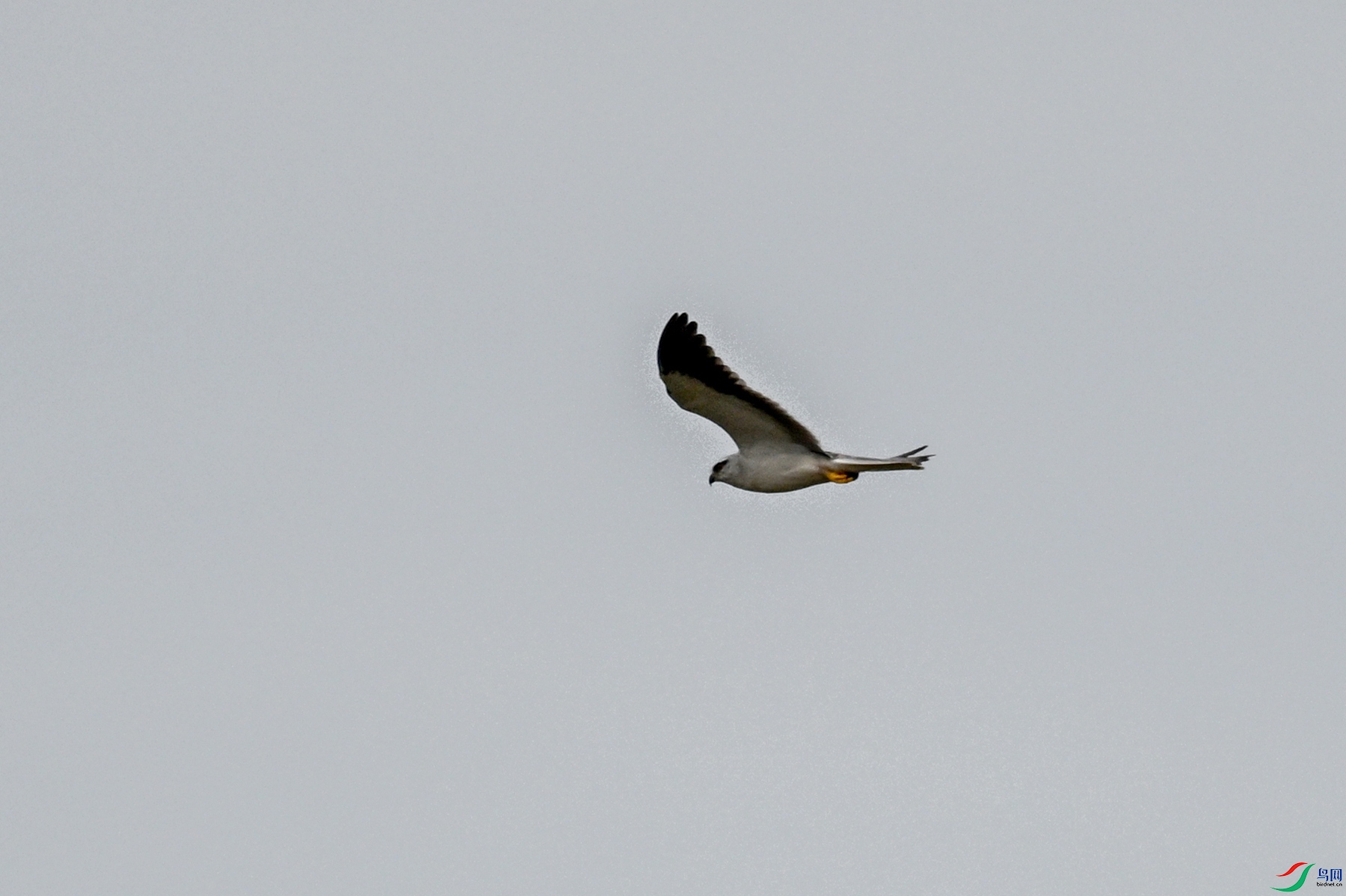 DSC_4926.JPG