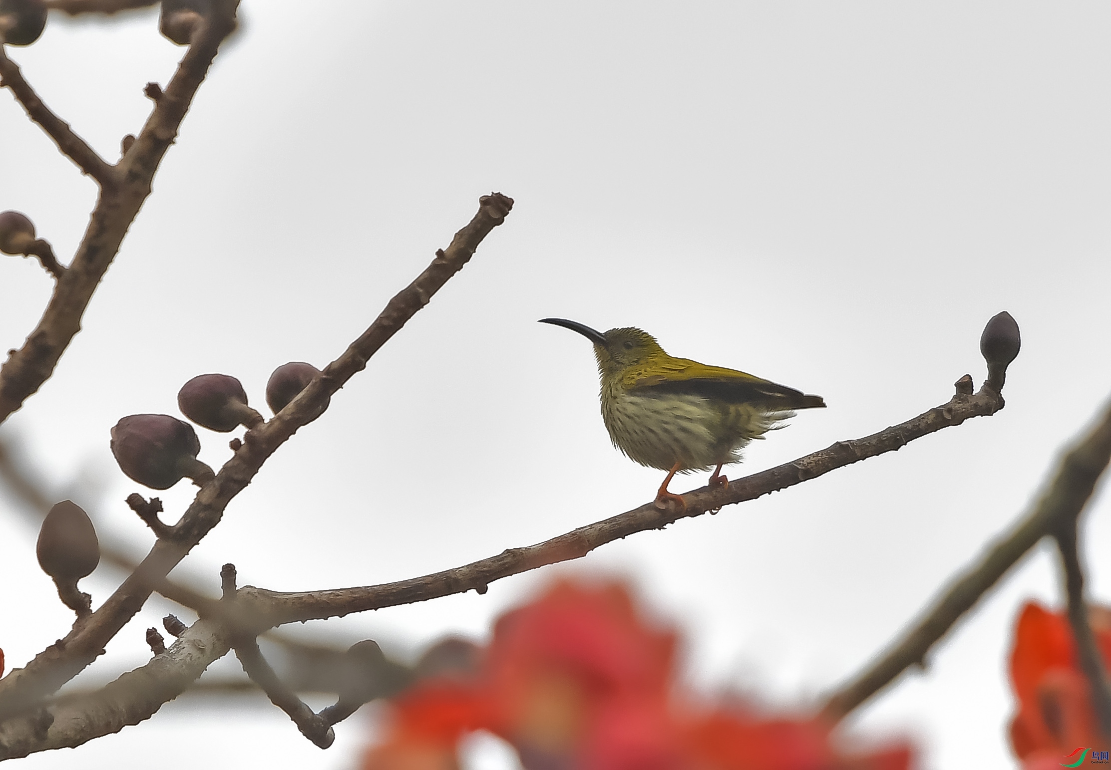 DSC_7044.JPG