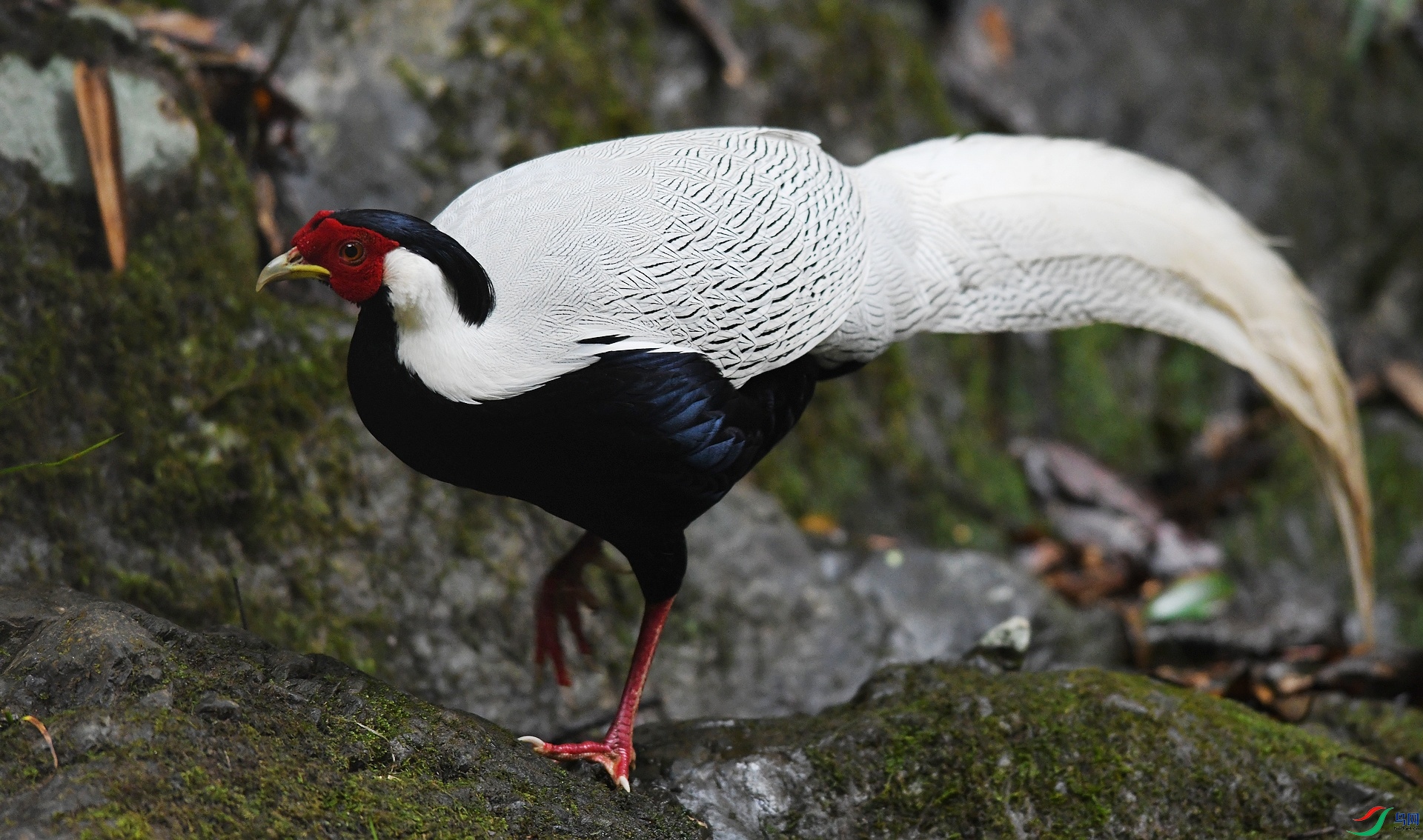 DSC_2056.jpg