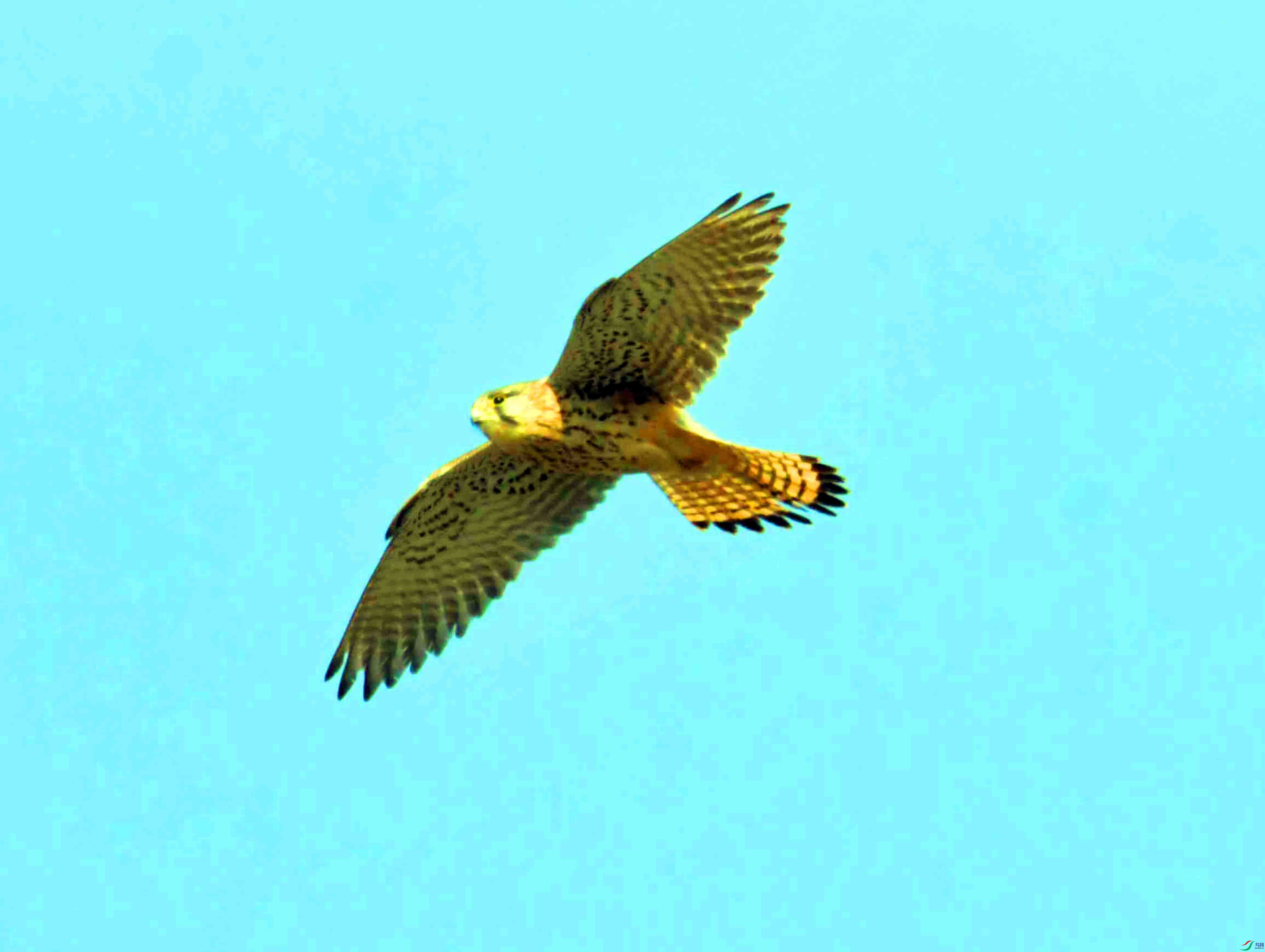 DSC_8106.JPG
