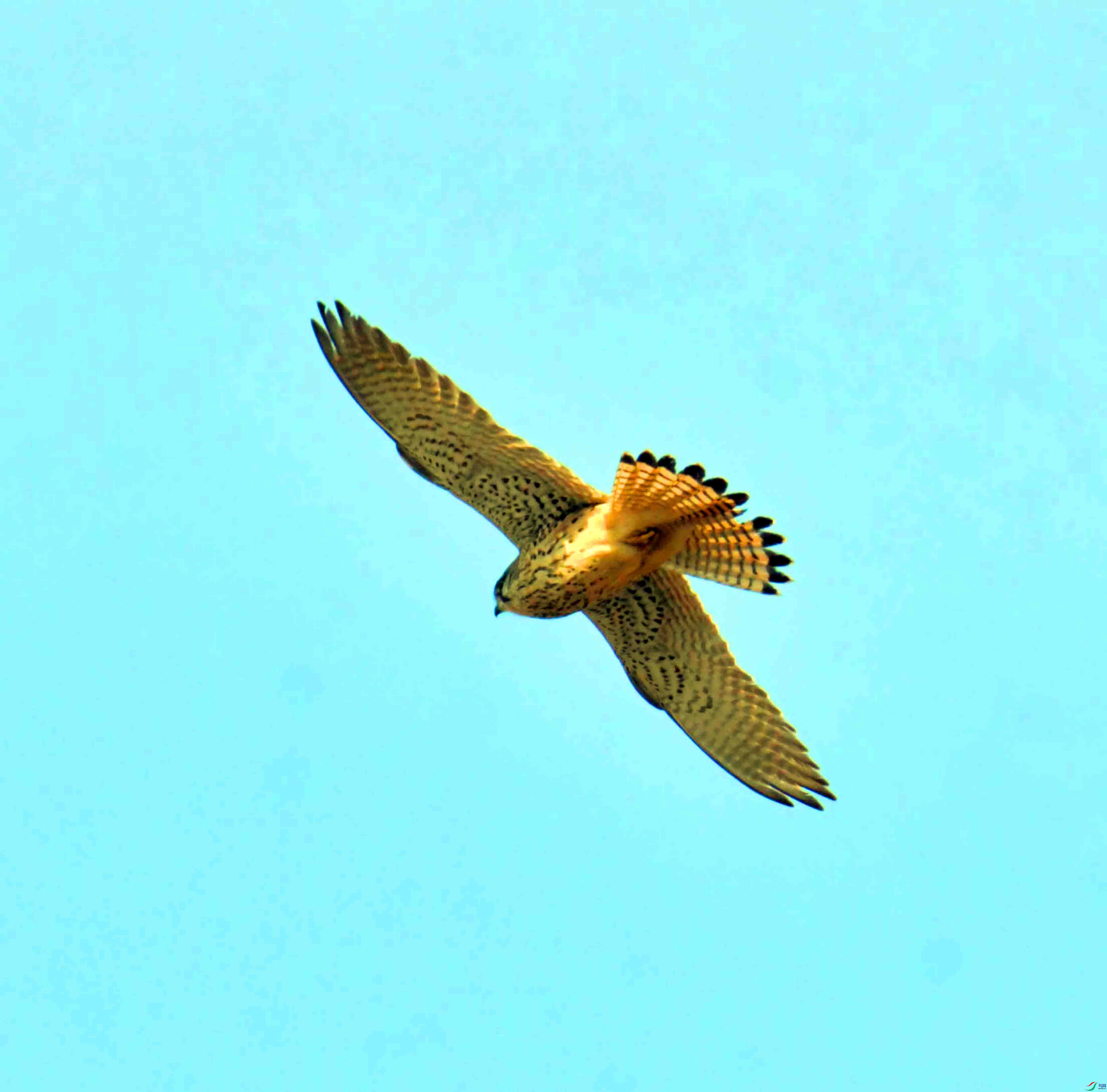 DSC_8112.JPG