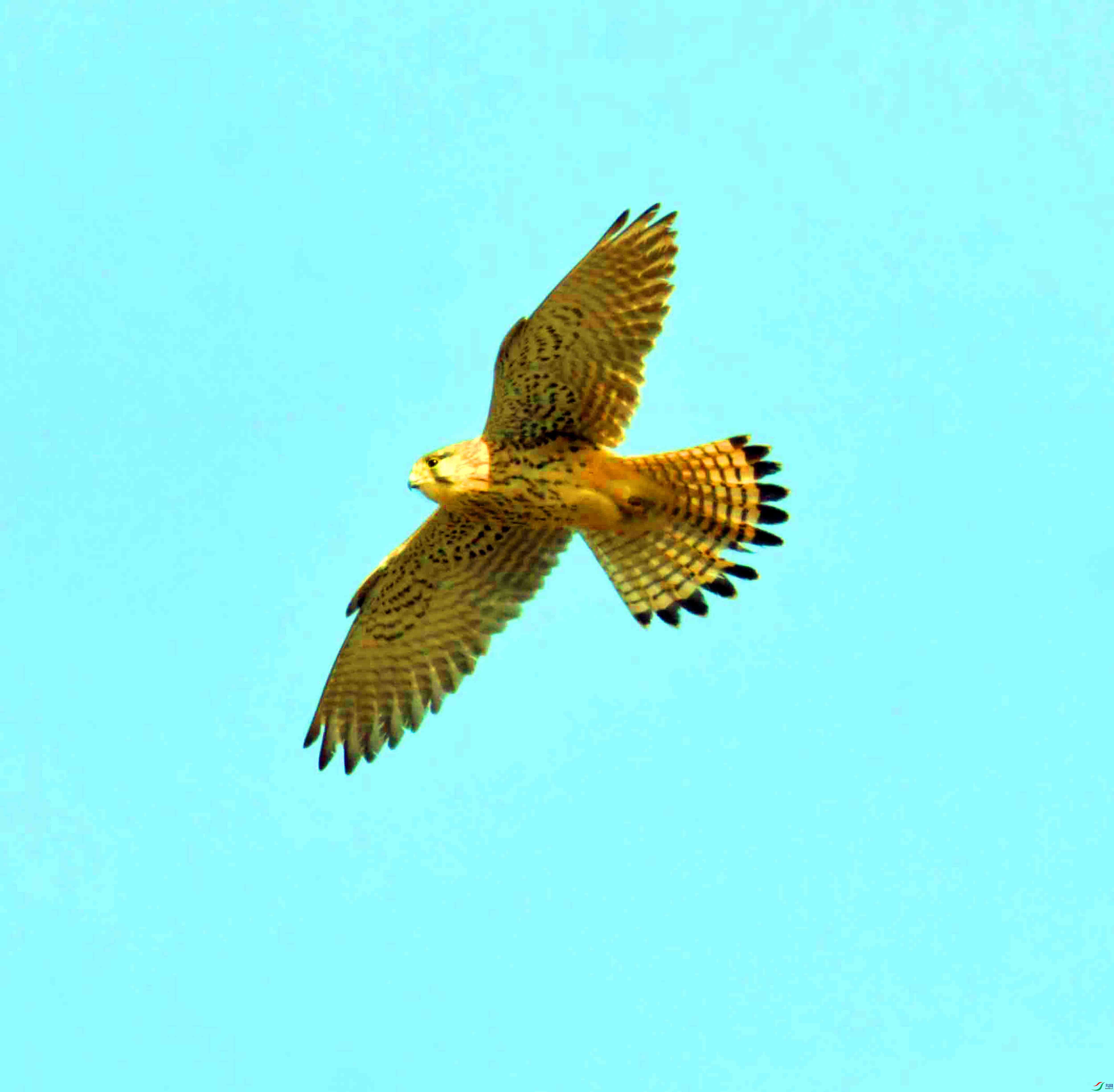 DSC_8107.JPG