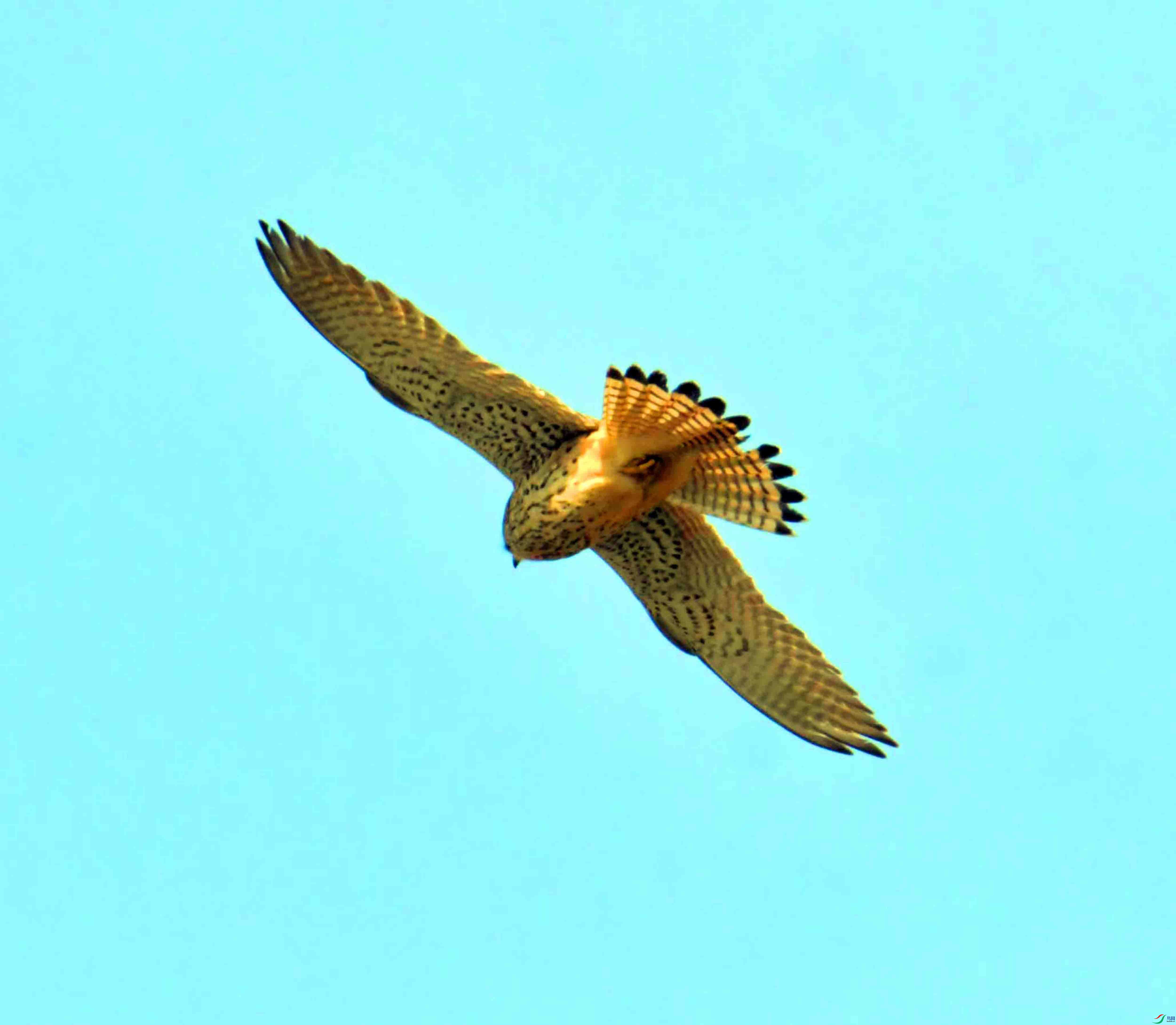 DSC_8113.JPG