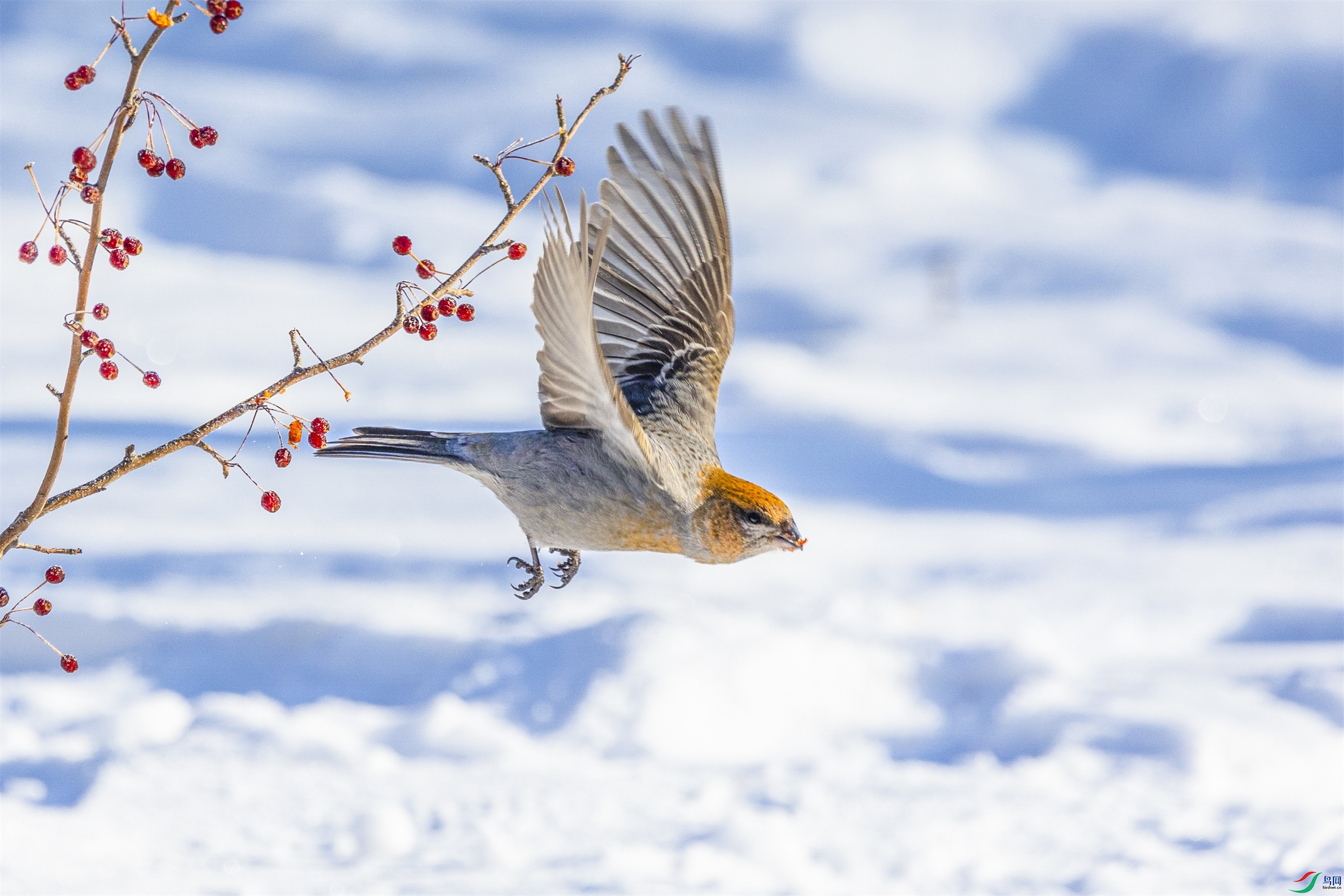 1K3A8149 ����1.jpg