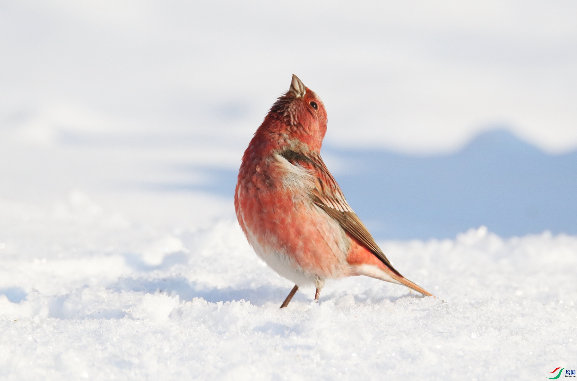 0G1A4024 ����.jpg